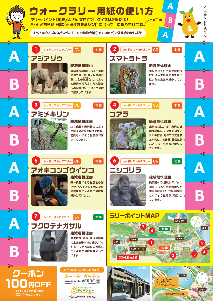 Di：古橋　D：加藤