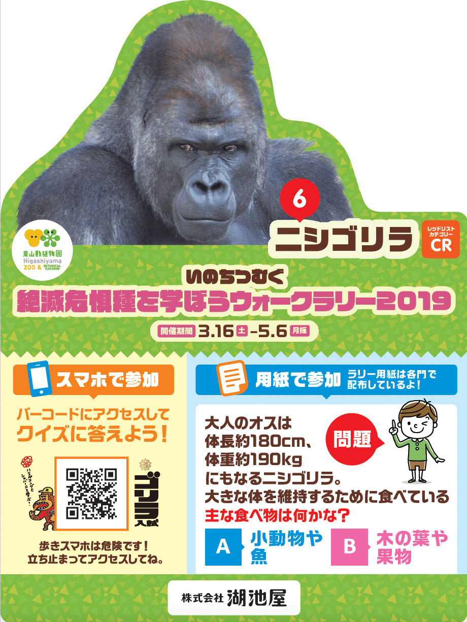 Di：古橋　D：加藤