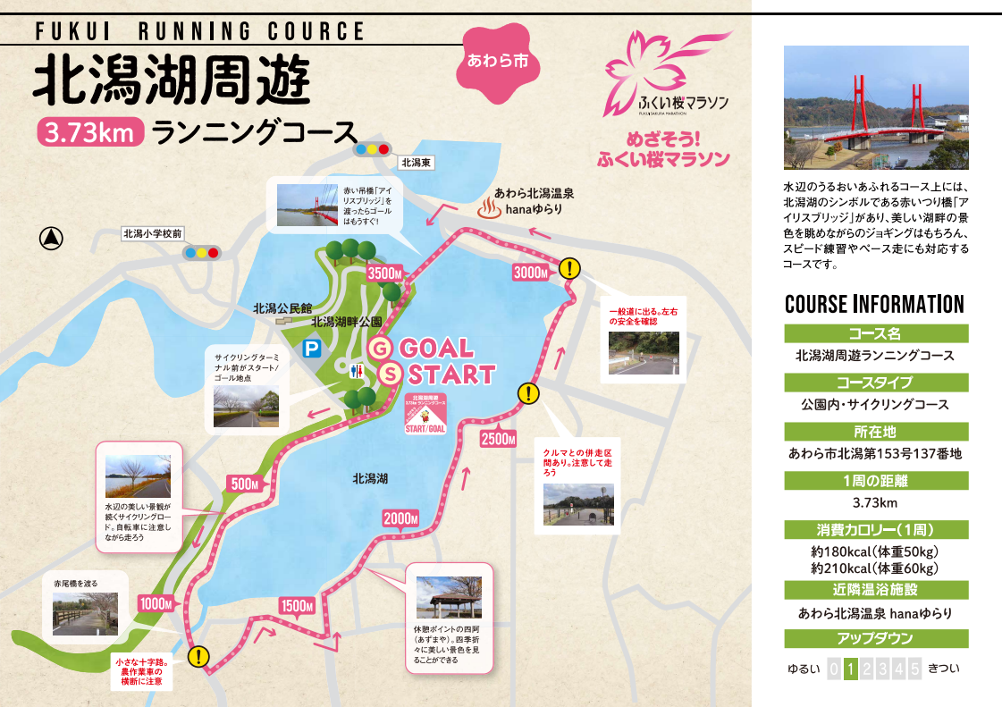 Di・C・P：古橋　　D：内野