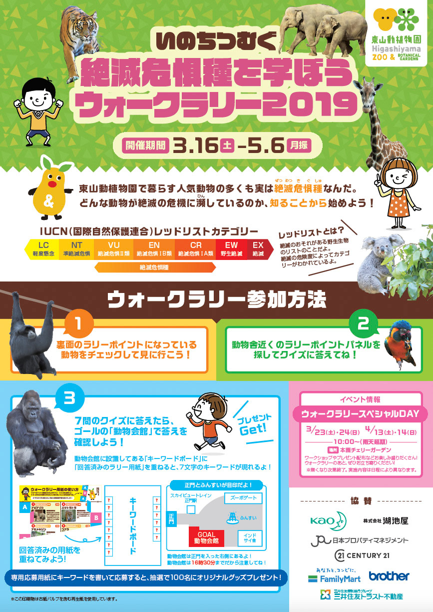 Di：古橋　D：加藤