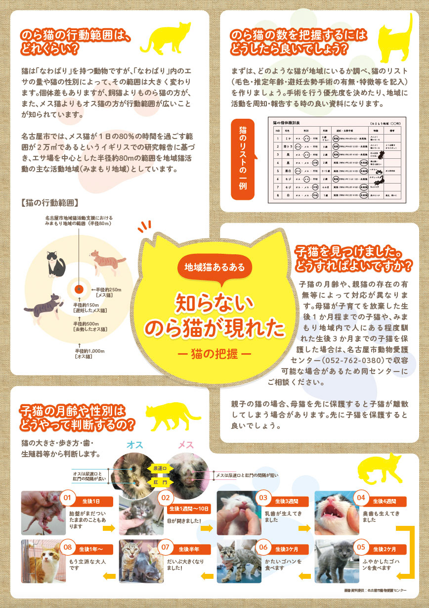 Di：古橋　D：加藤