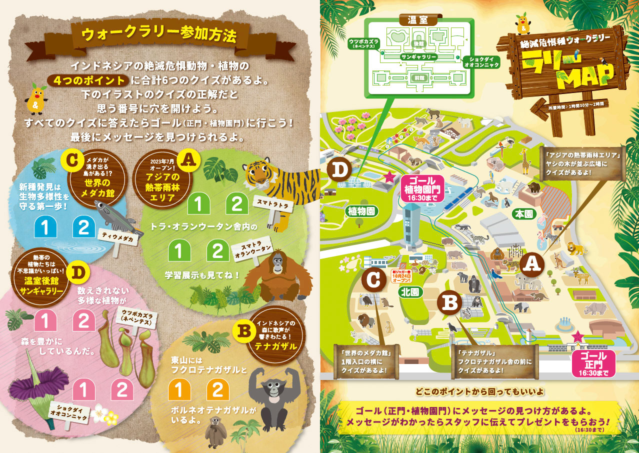 Di：古橋　D：早川