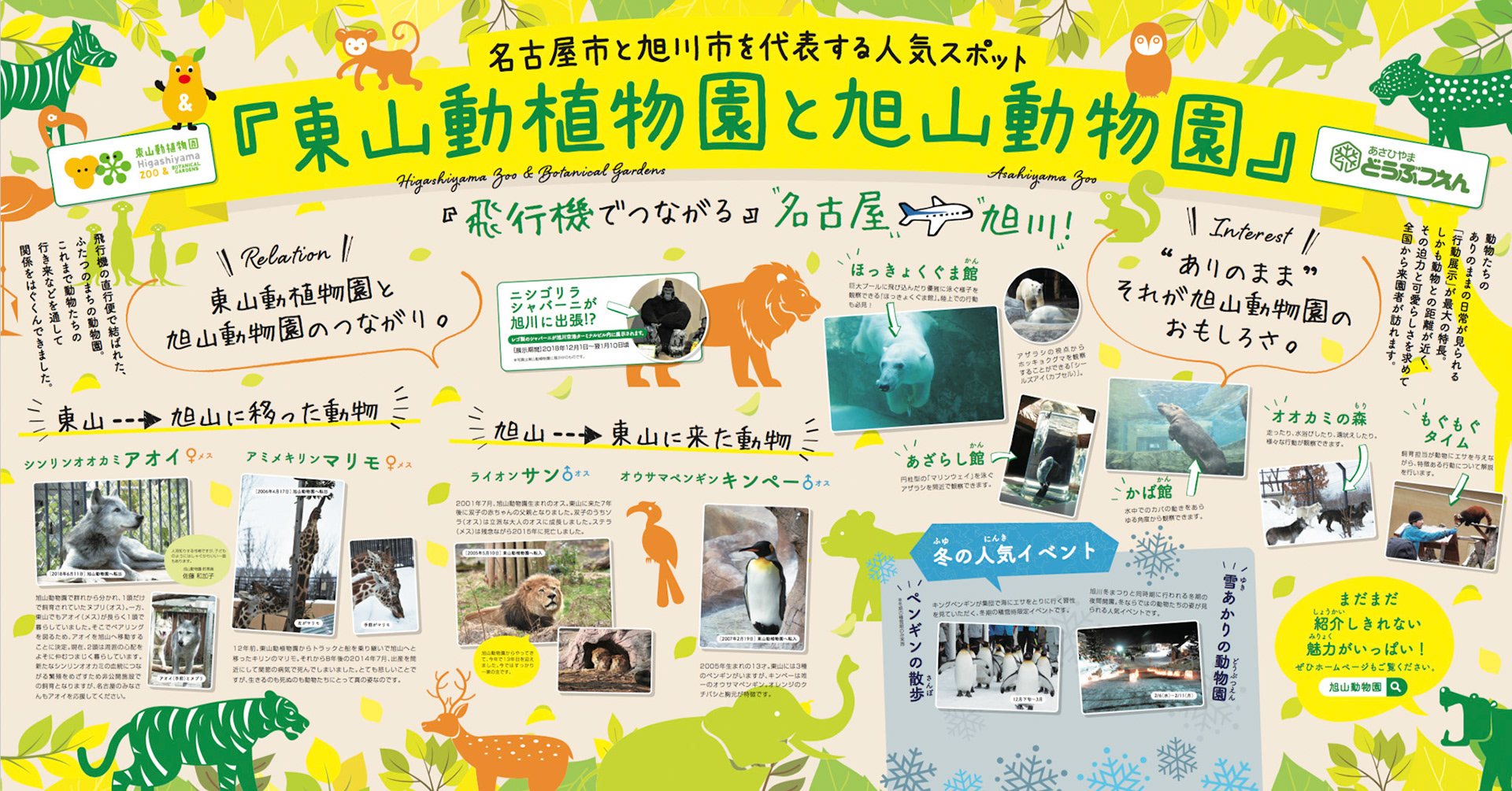 Di・C：古橋　　D：加藤