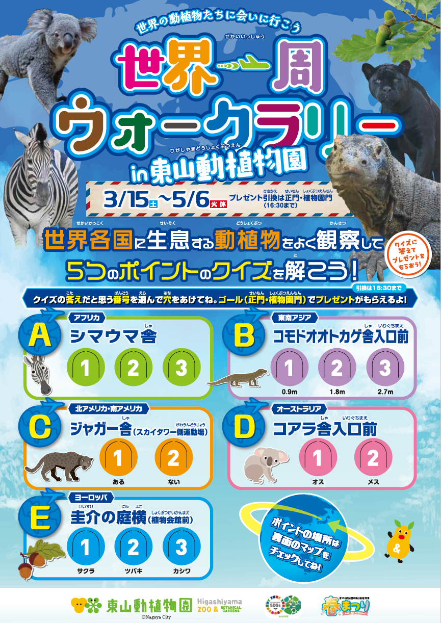 Di：古橋　D：早川