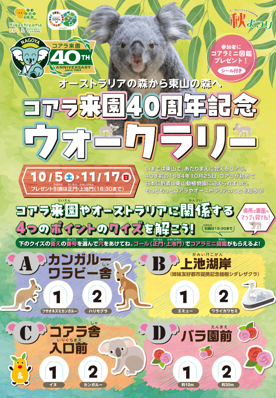 Di：古橋　D：早川