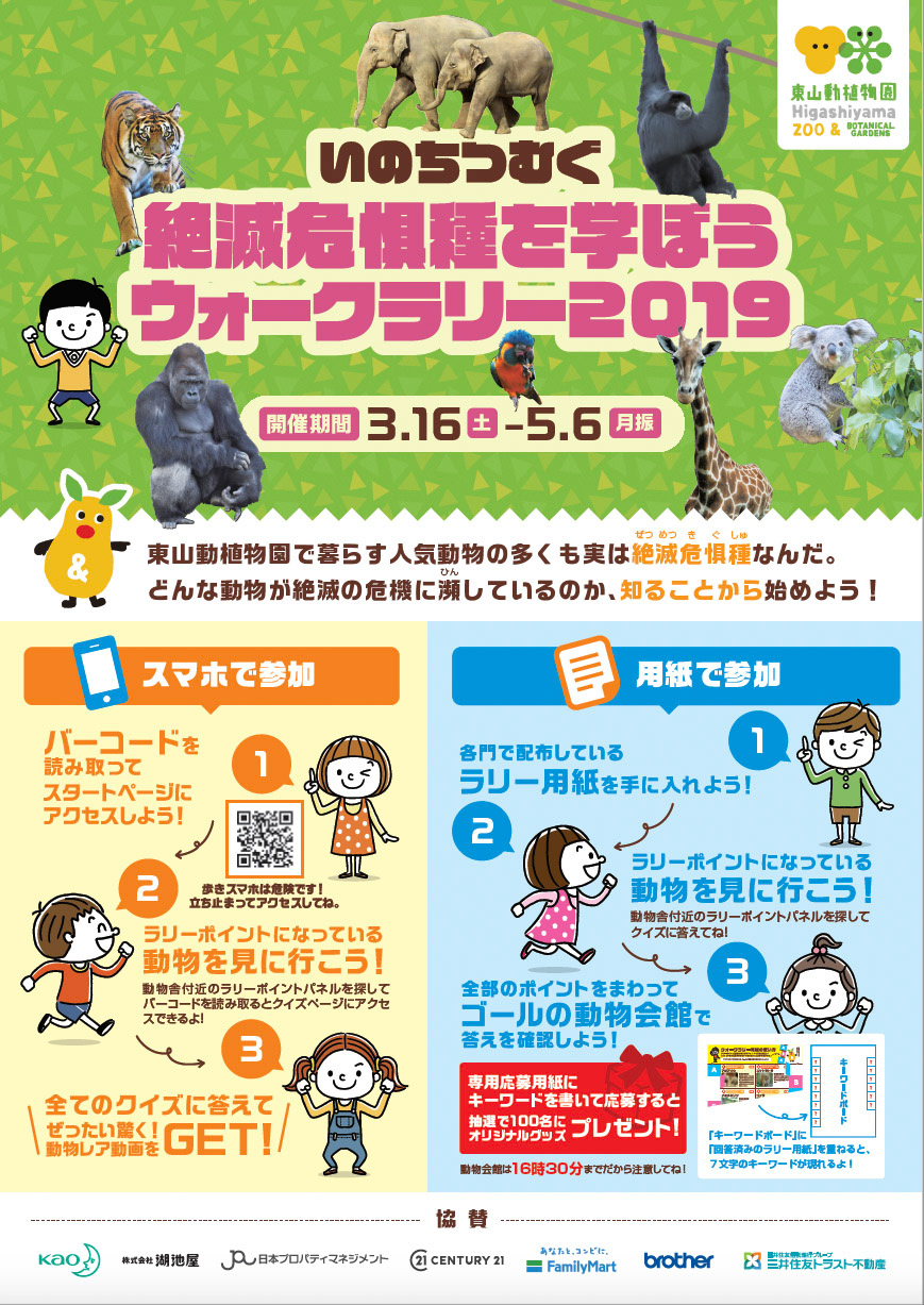 Di：古橋　D：加藤