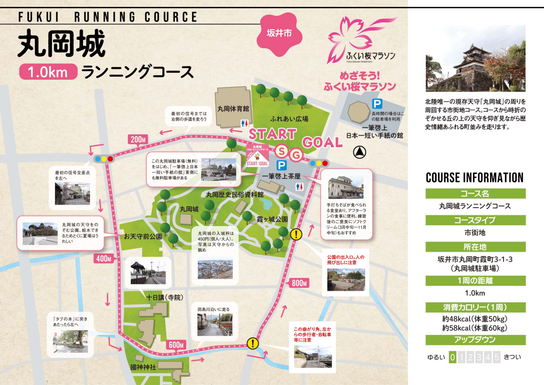 Di・C・P：古橋　　D：内野