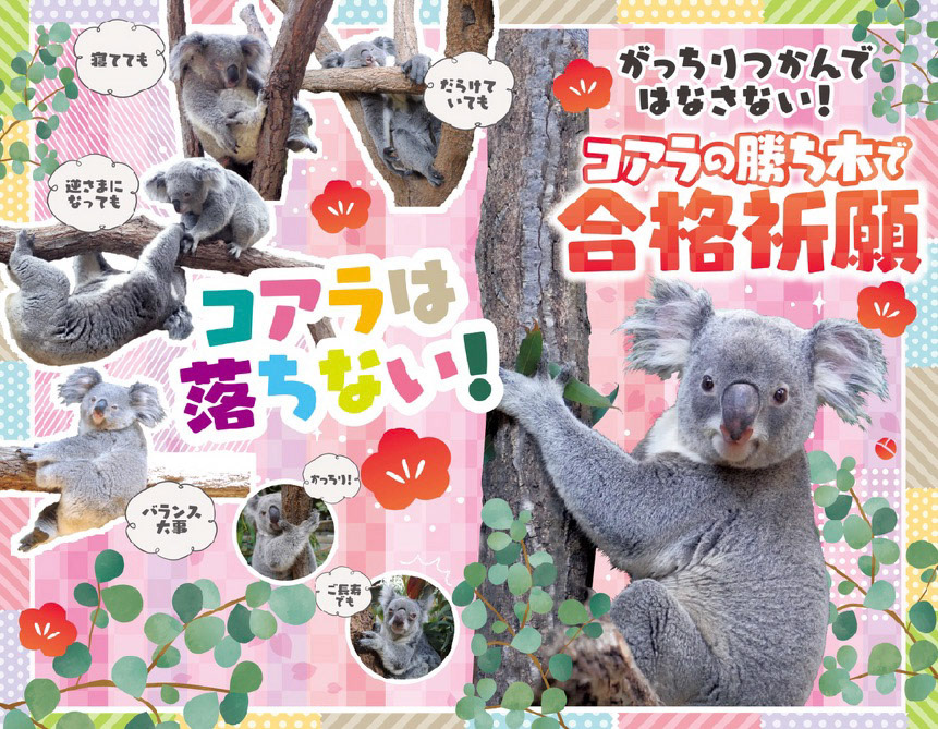 Di：古橋　D：内野