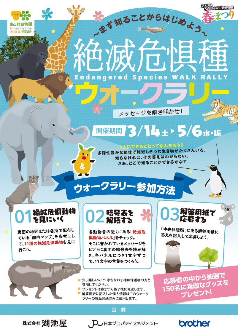 Di：古橋　D：内野