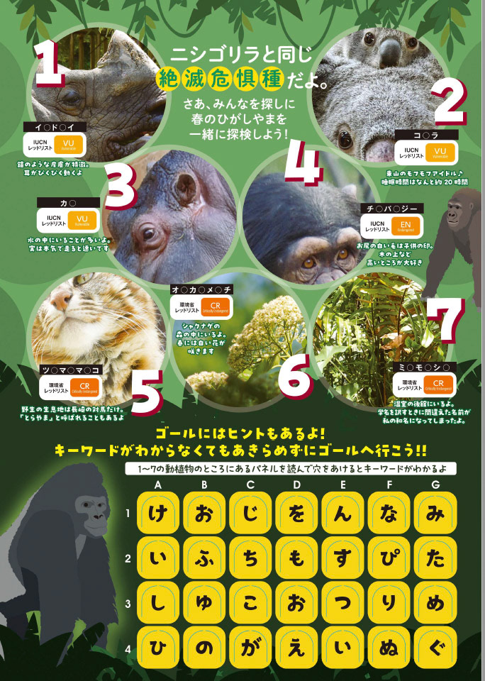 Di：古橋　D：内野