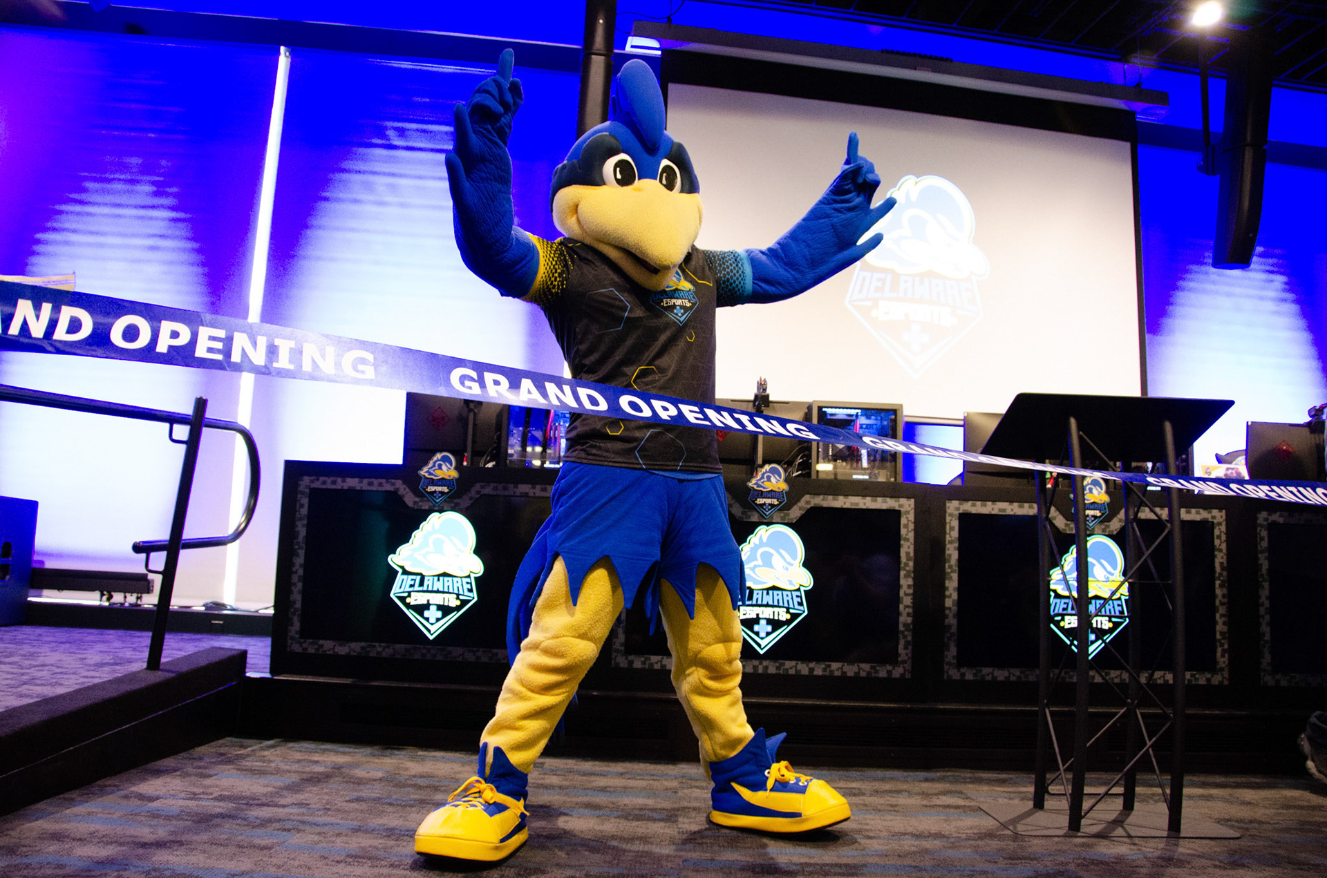Esports VIP Grand Opening