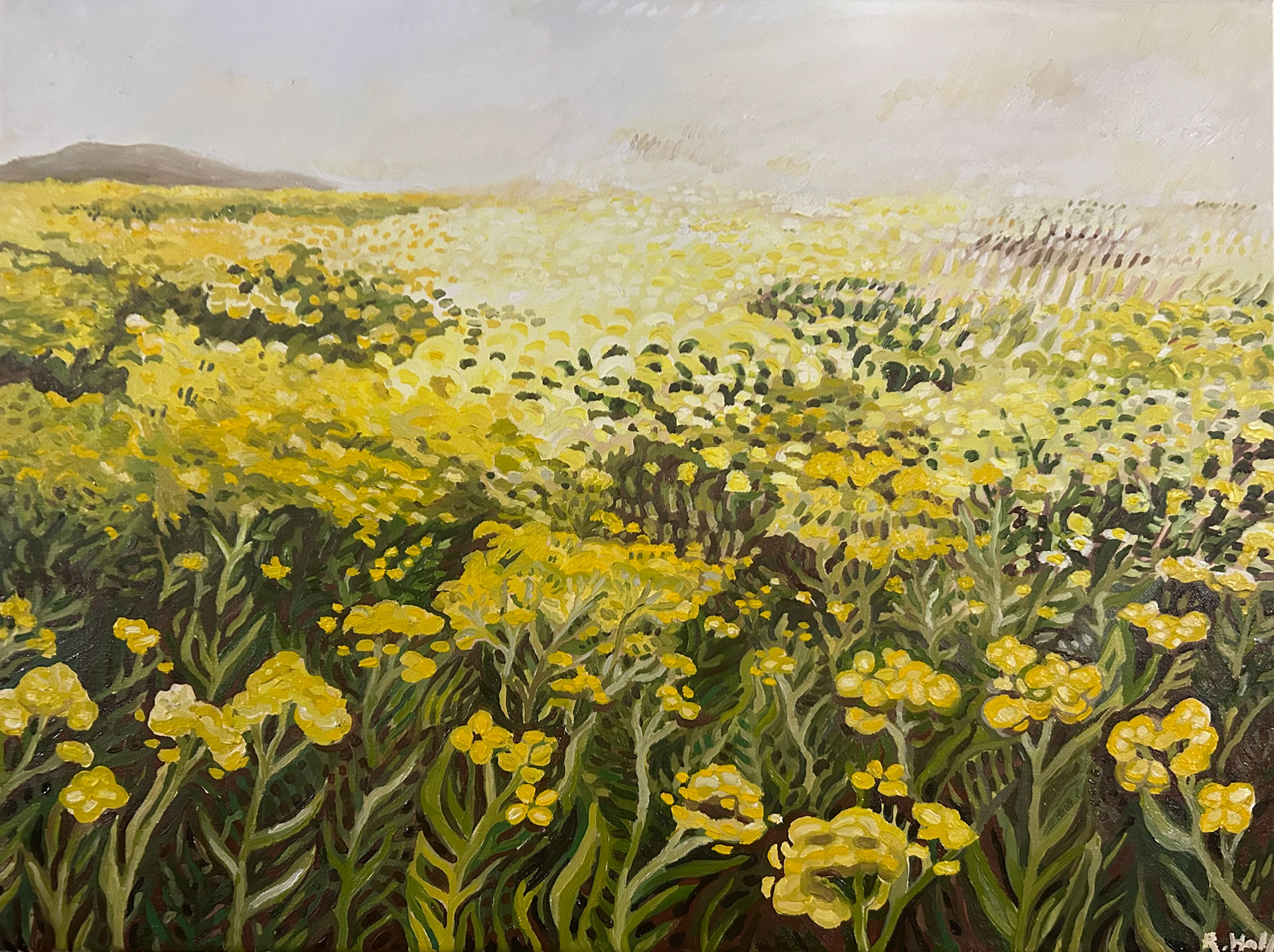 Mustard Flowers, Visual Art, Rebekah Halladay, Biology