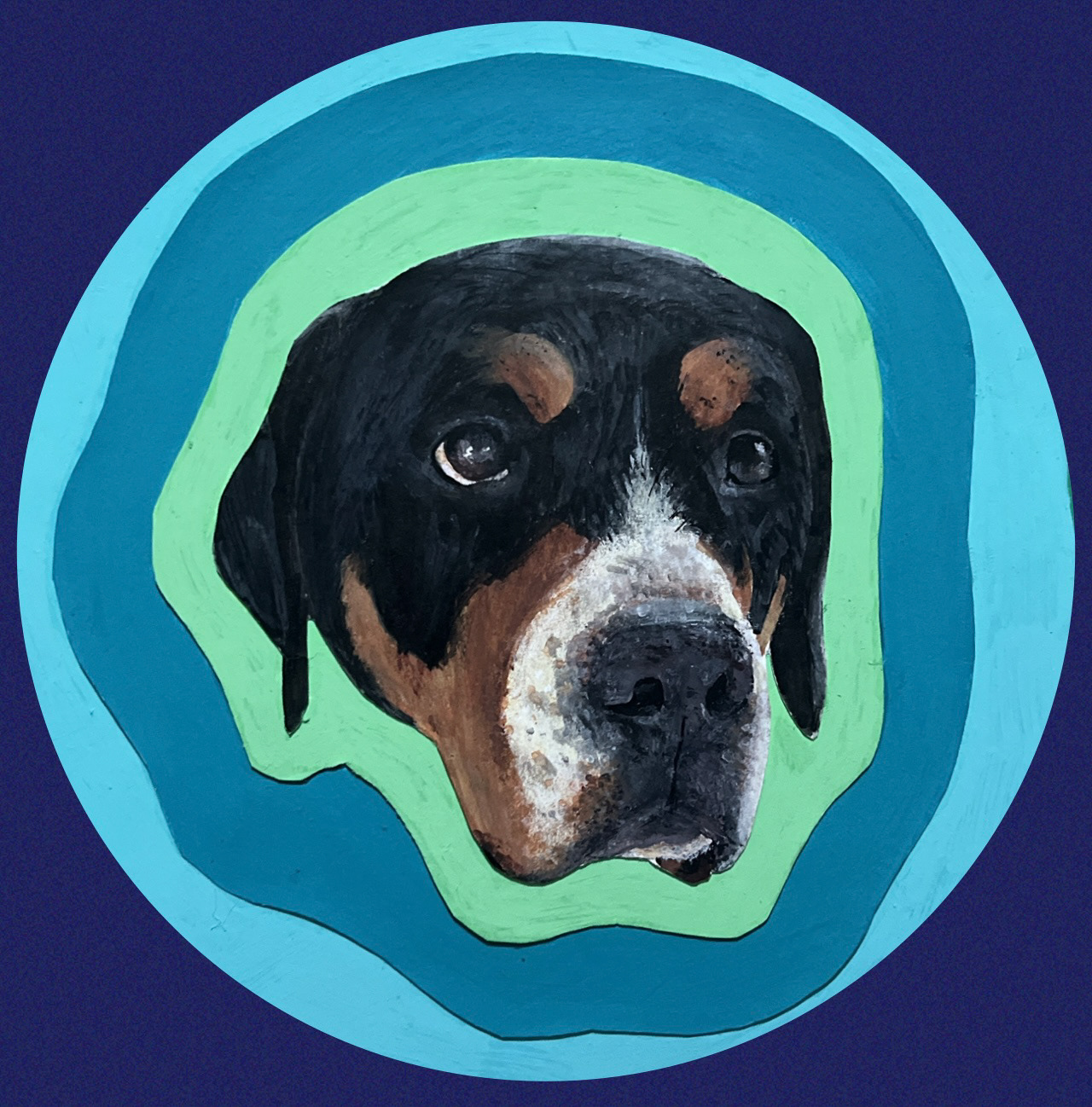 Sweet Odin, Visual Art, Lindsey Schrof, Biology