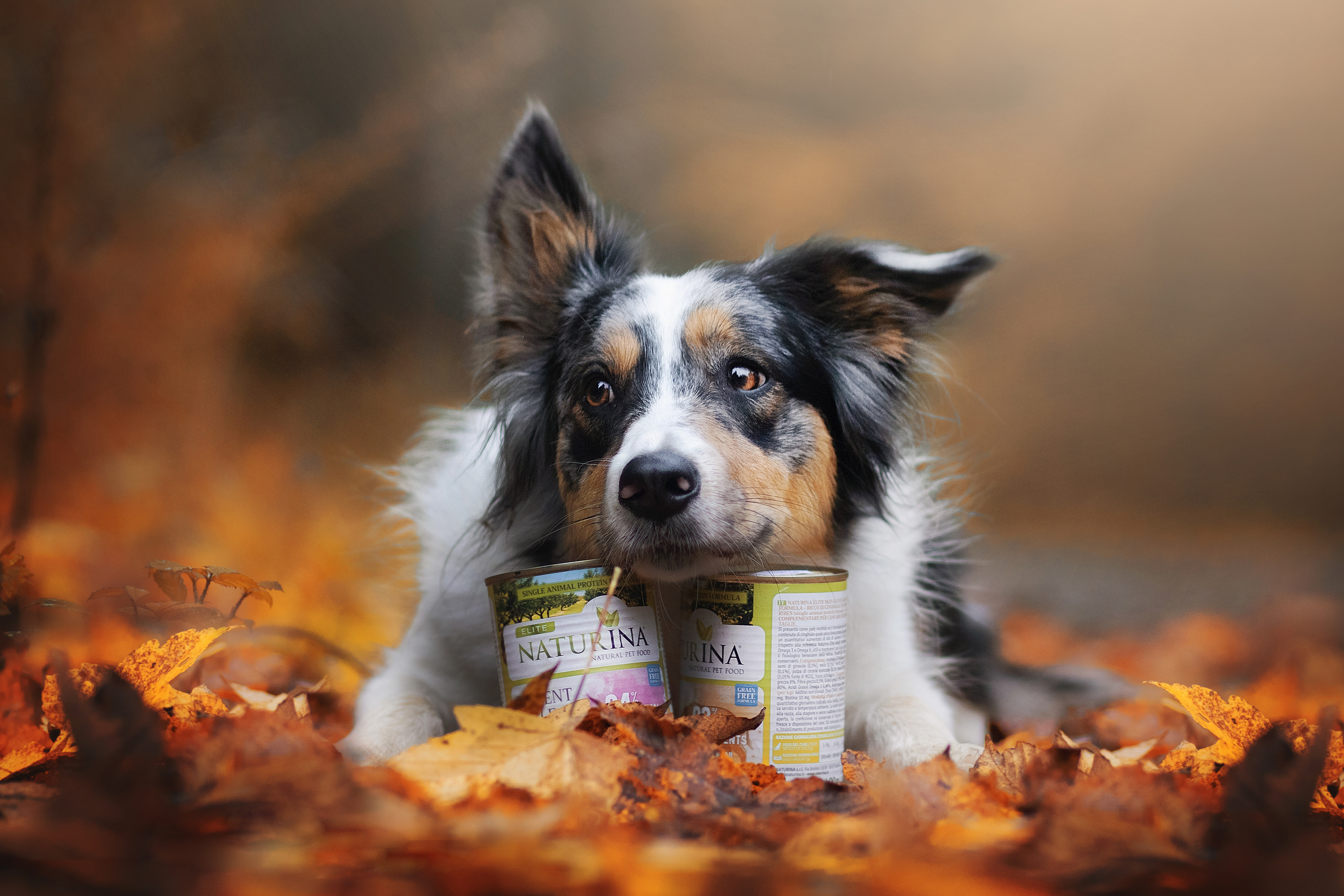 Naturina Elite Dog Food