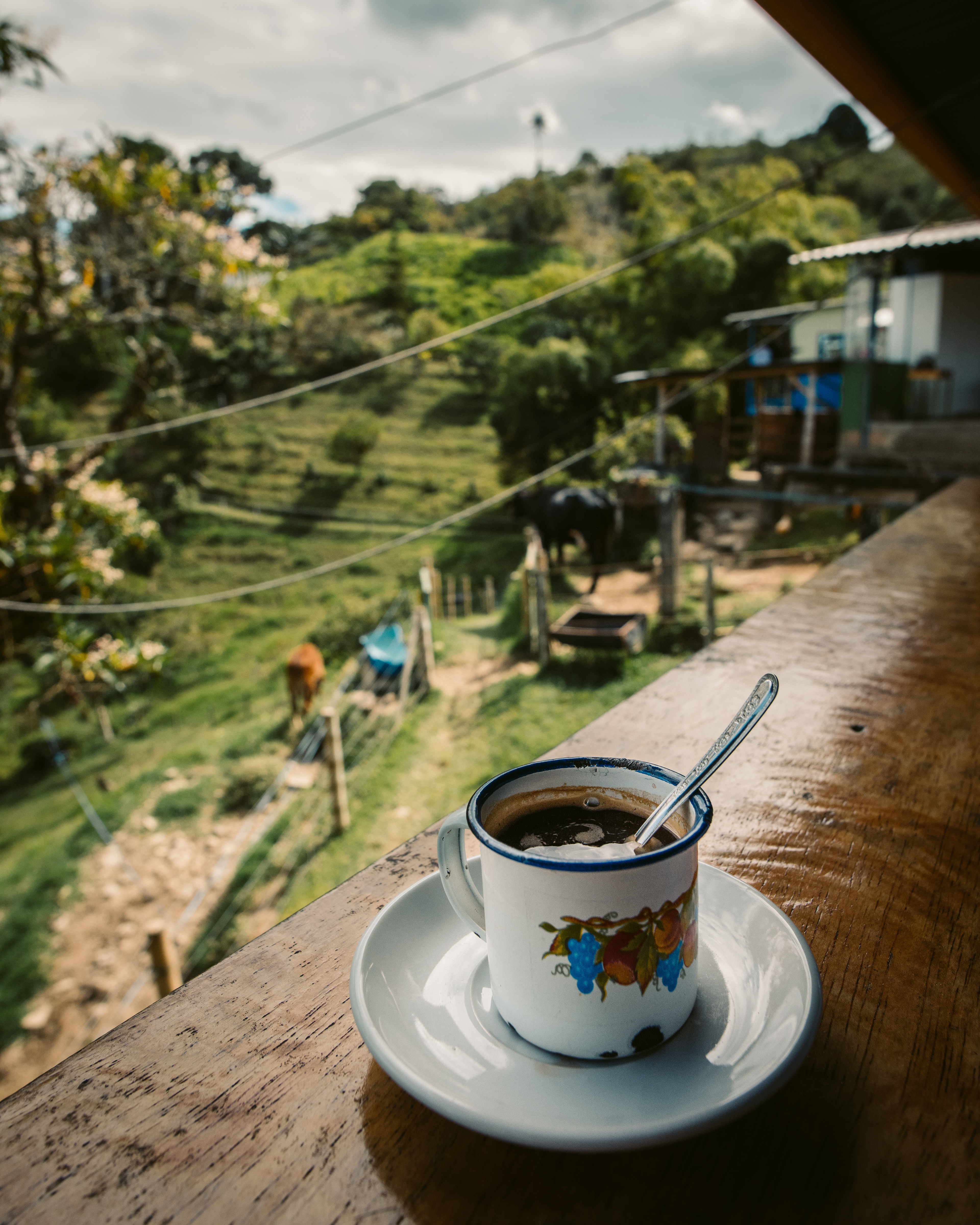 Coffee in Salento, Colombia
