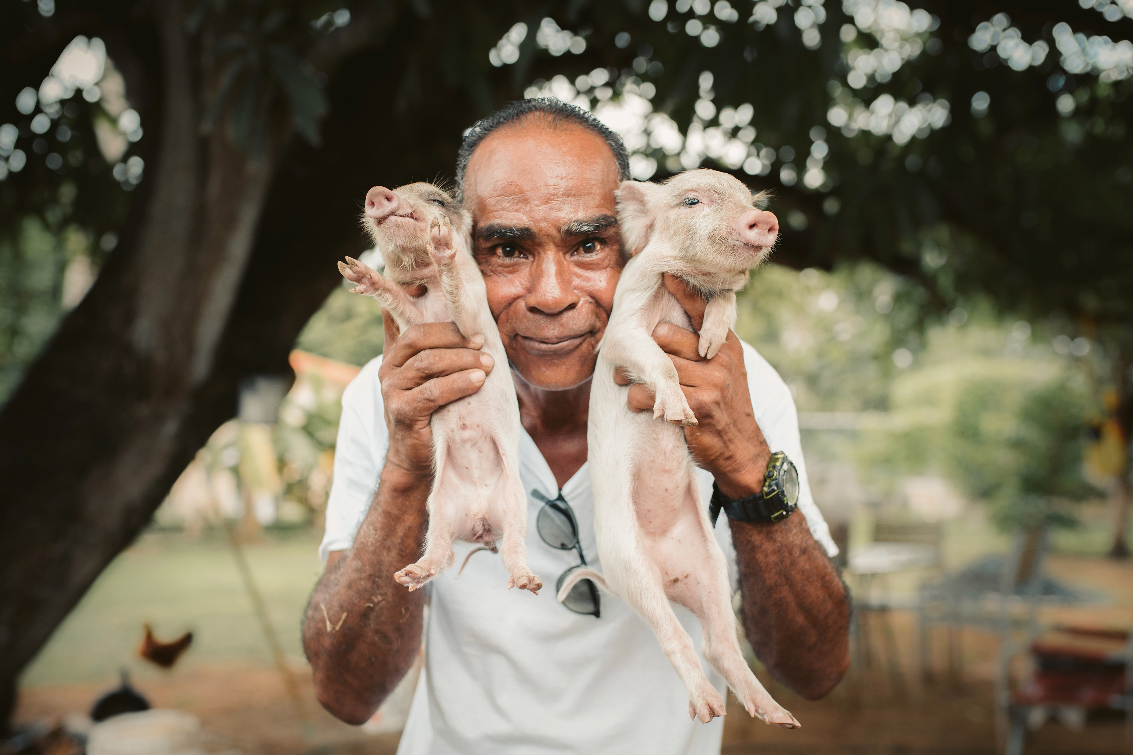 Tato, a man I met in Puerto Rico with his two piglets