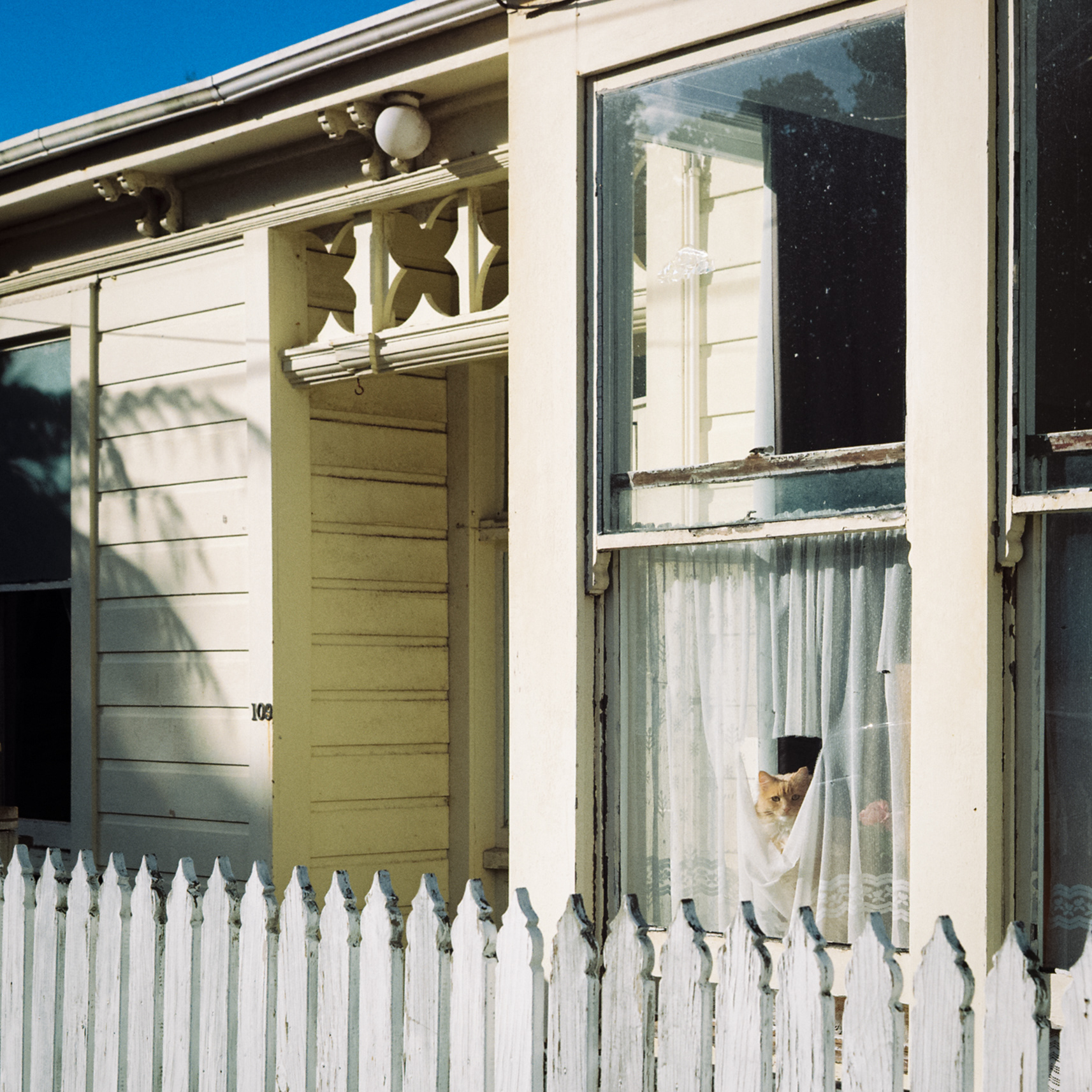 109 Tasman Street (kodak Gold)