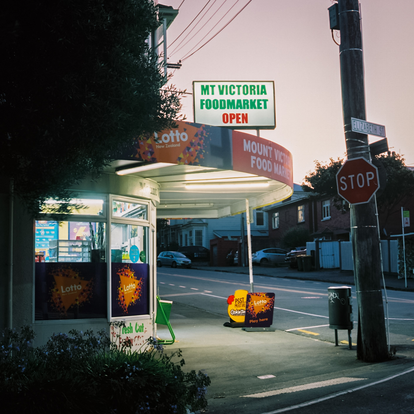 Mt Vic Foodmarket (Portra 160)