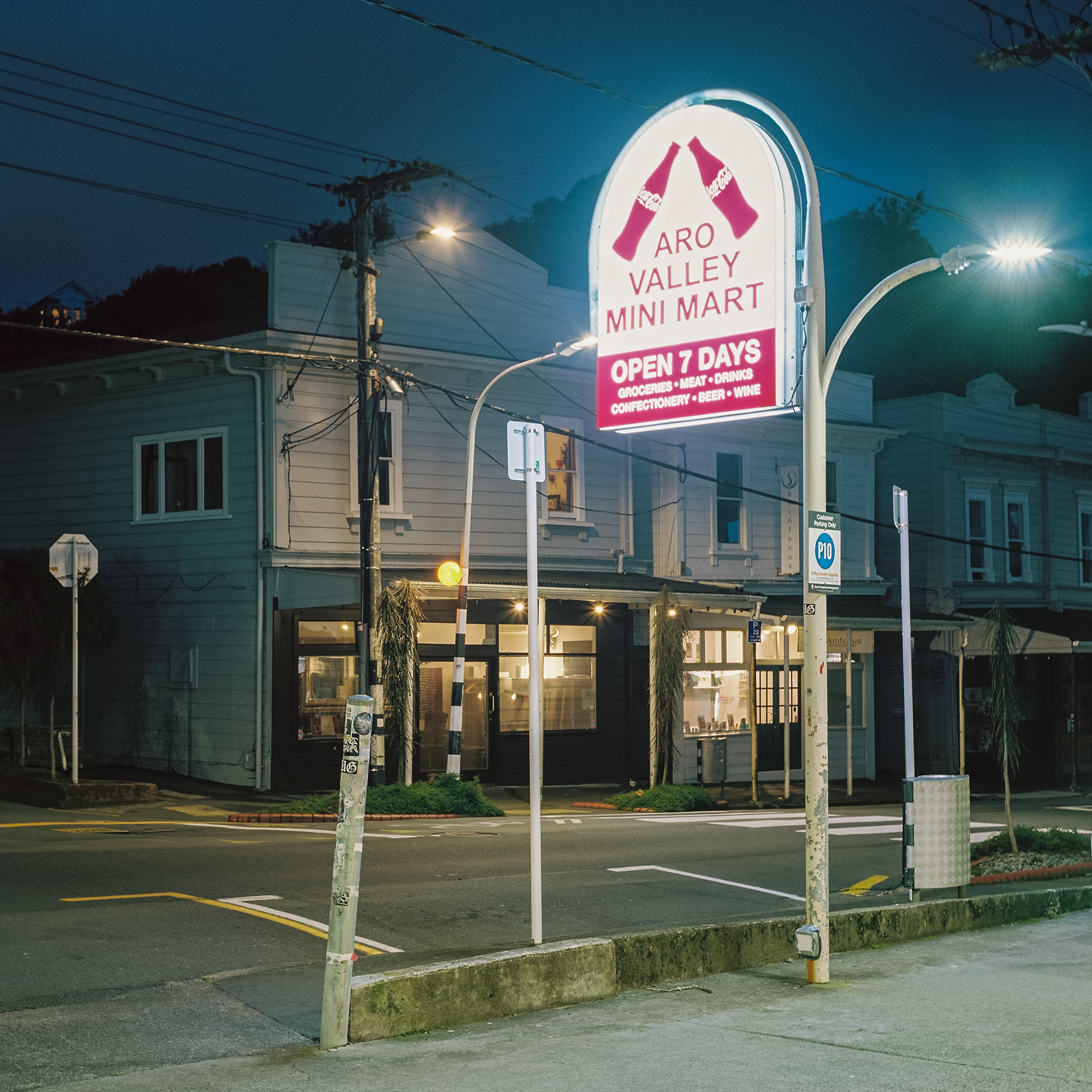 103 Aro Street (Portra 160)