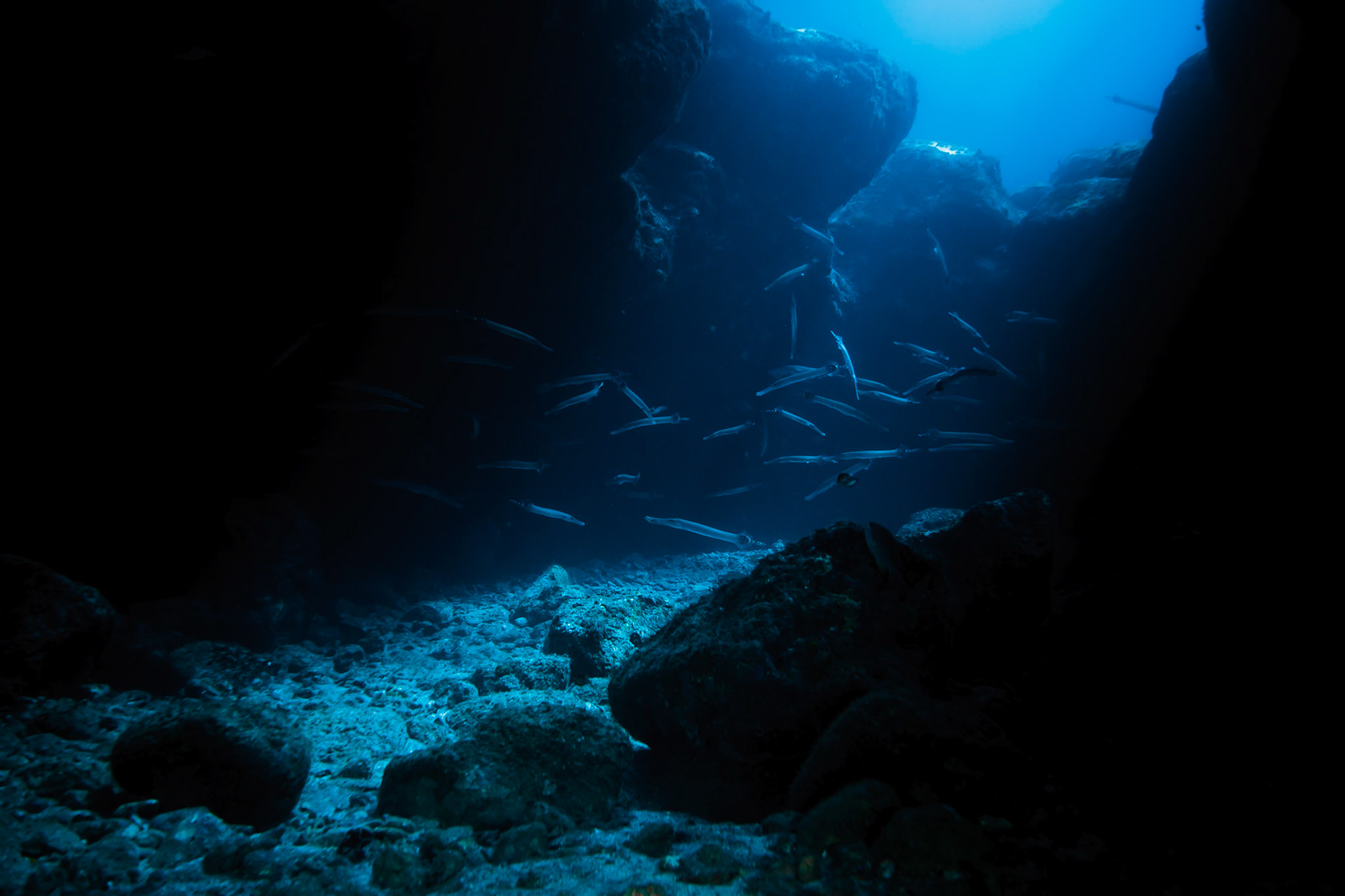 Dive Tribe, Foya Braco