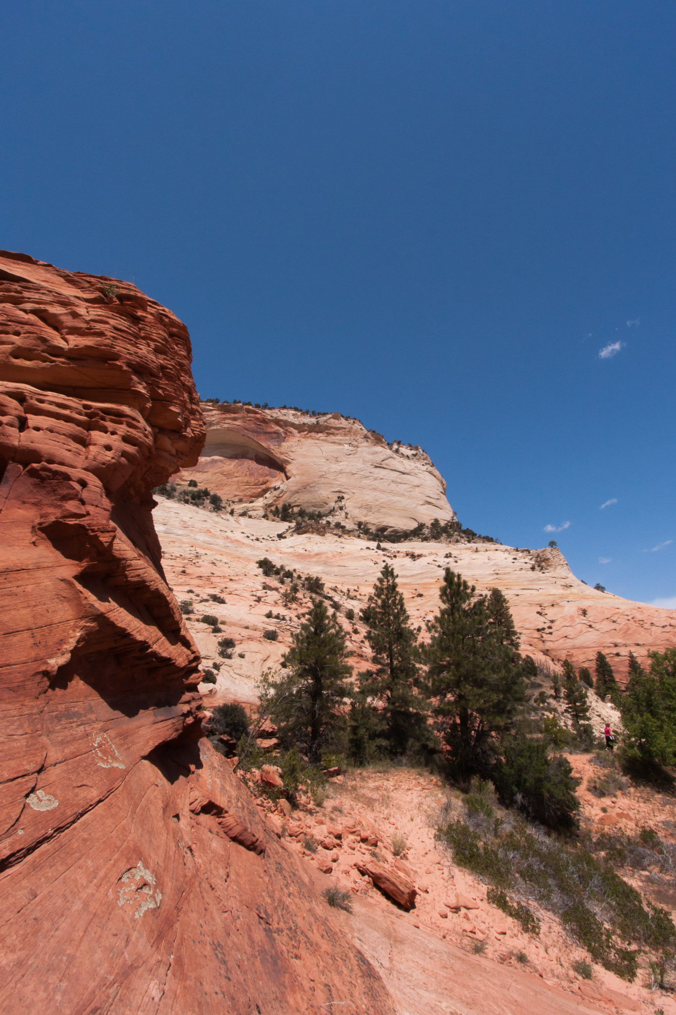 Zion