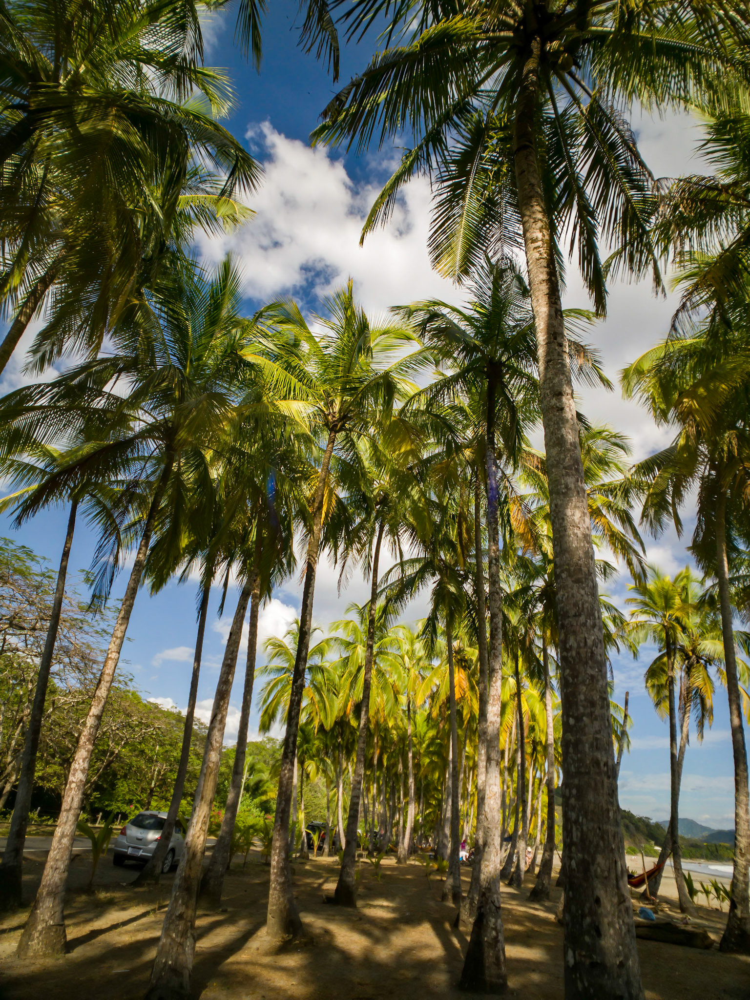 Playa Puerto Carrillo