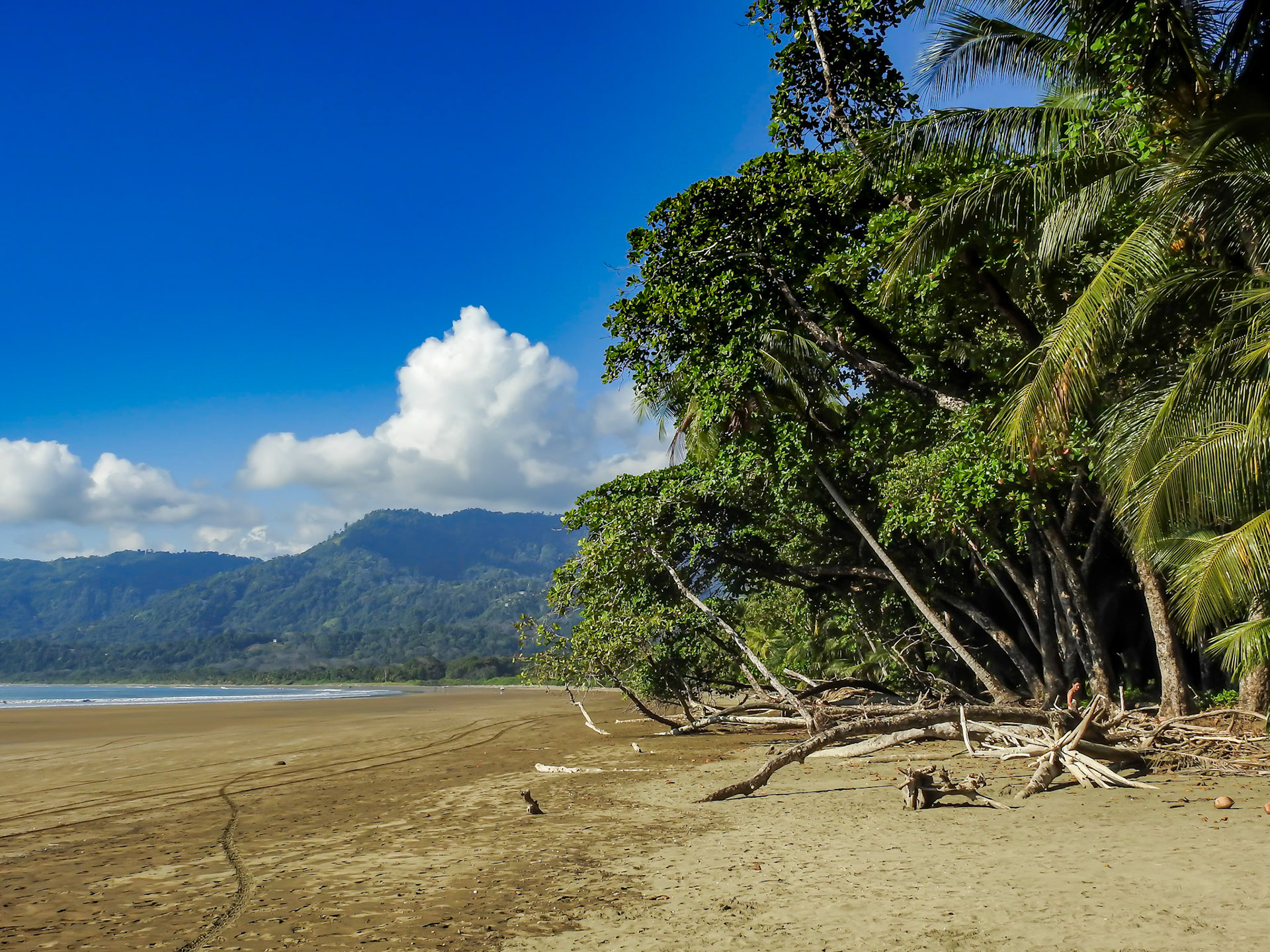 Playa Uvita