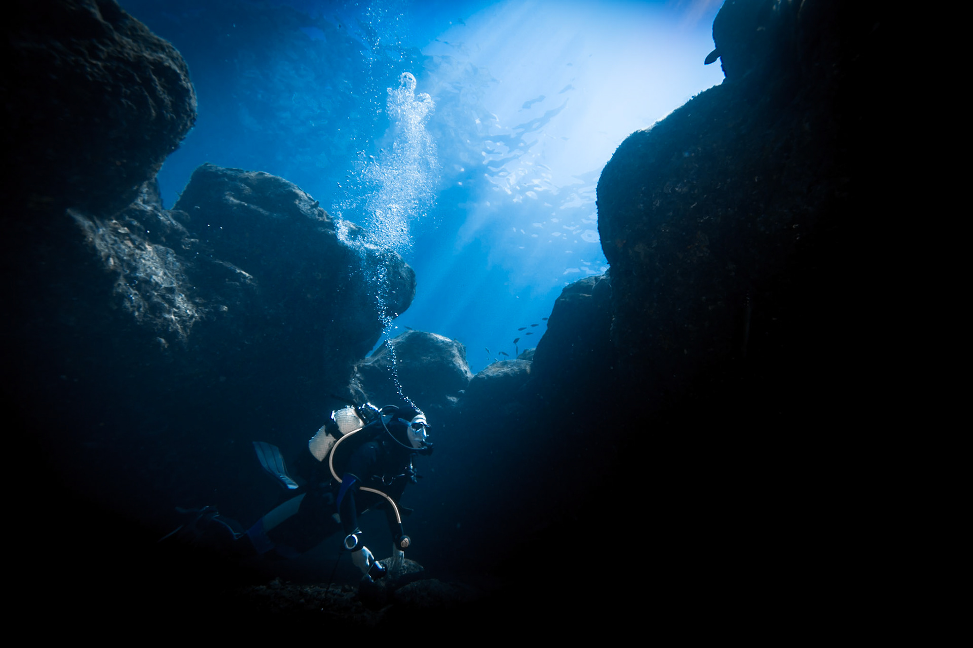 Dive Tribe, Foya Braco