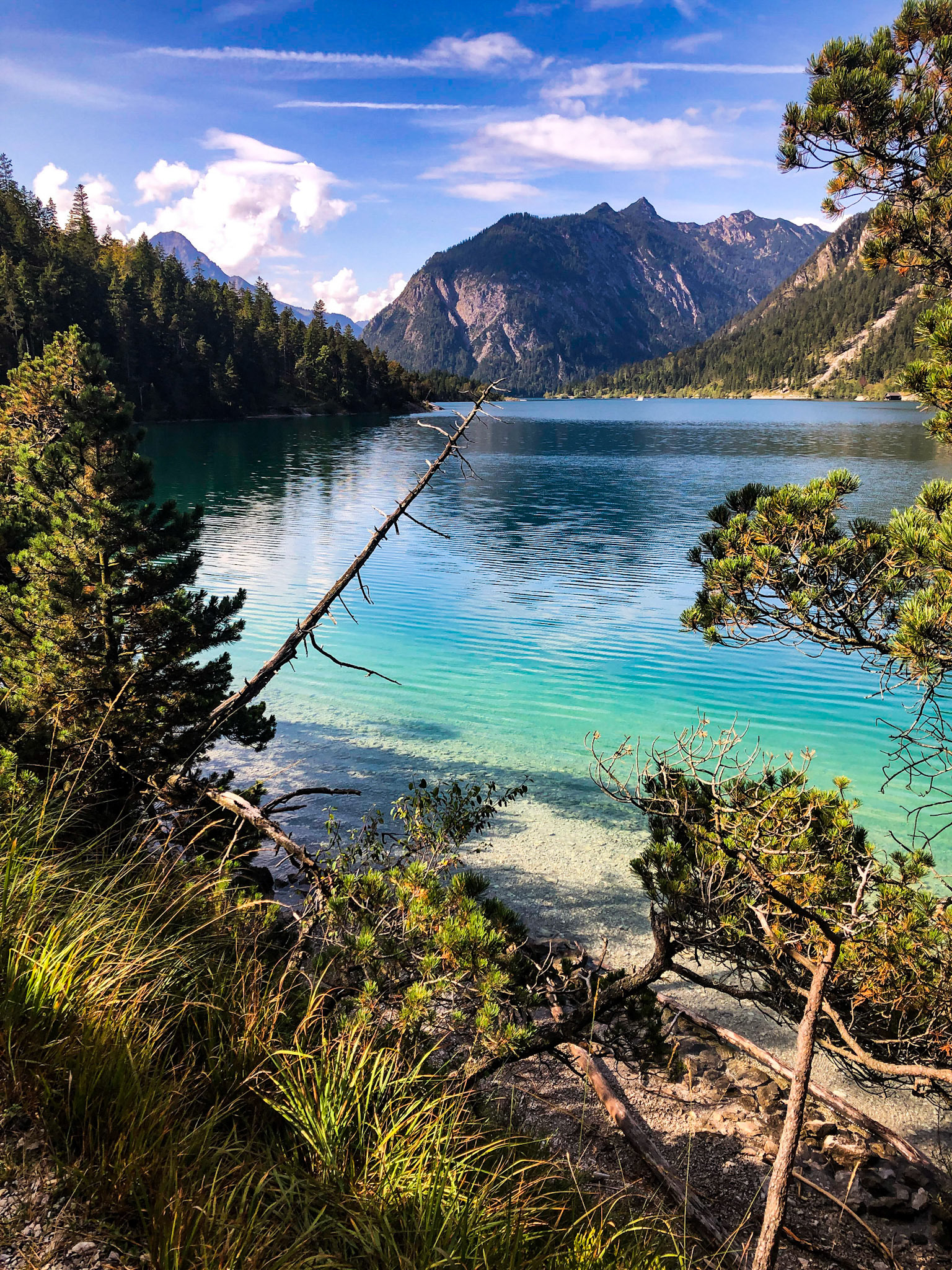 Am Plansee