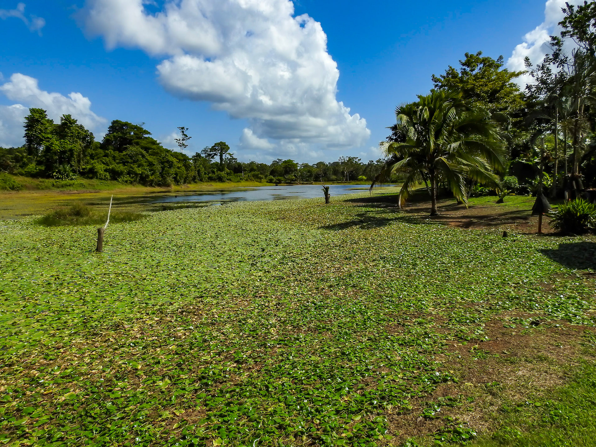Boca Tapada