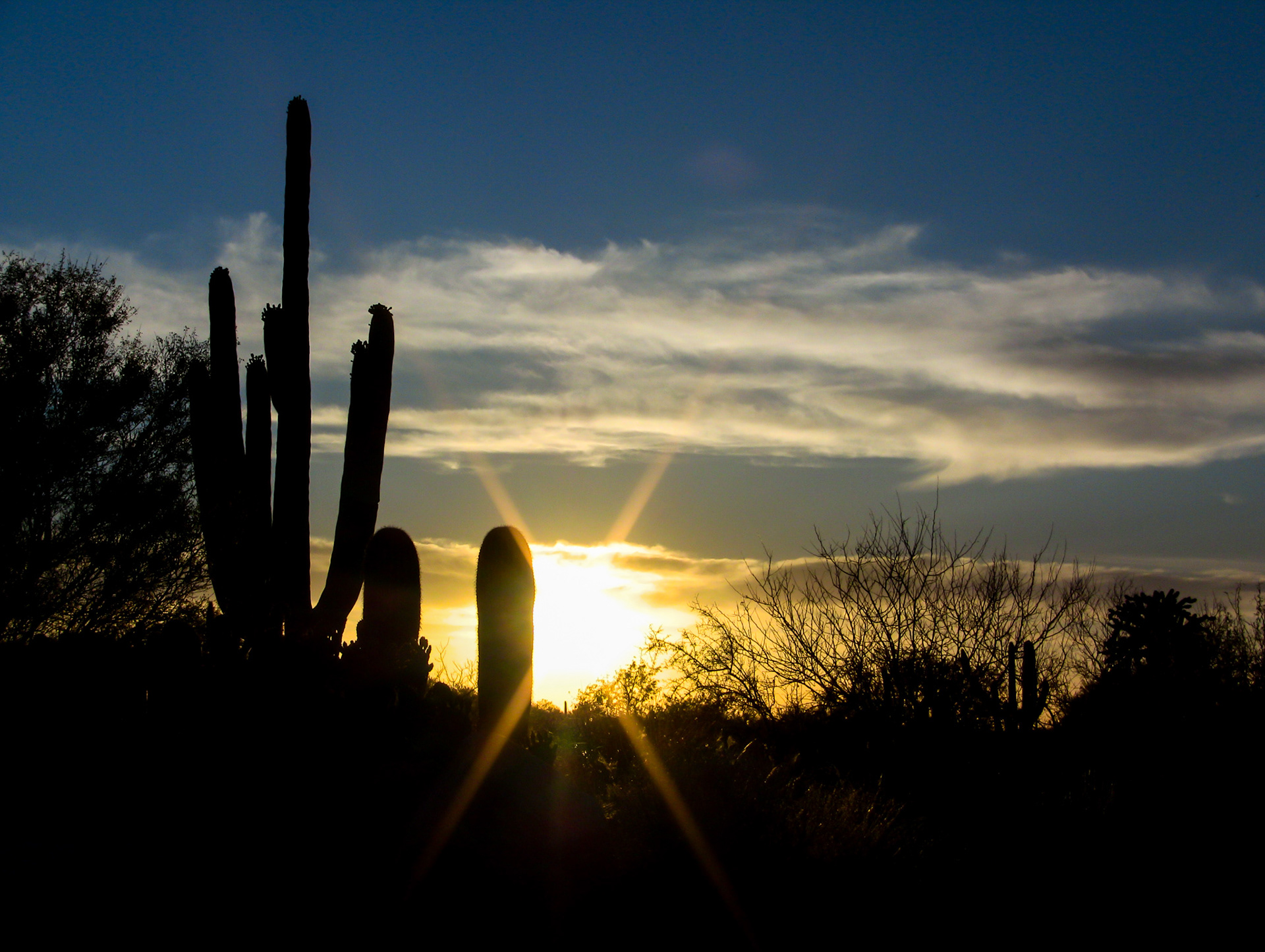 Tuscon