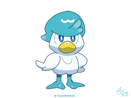 Turn around animation I made of quaxly pokemon