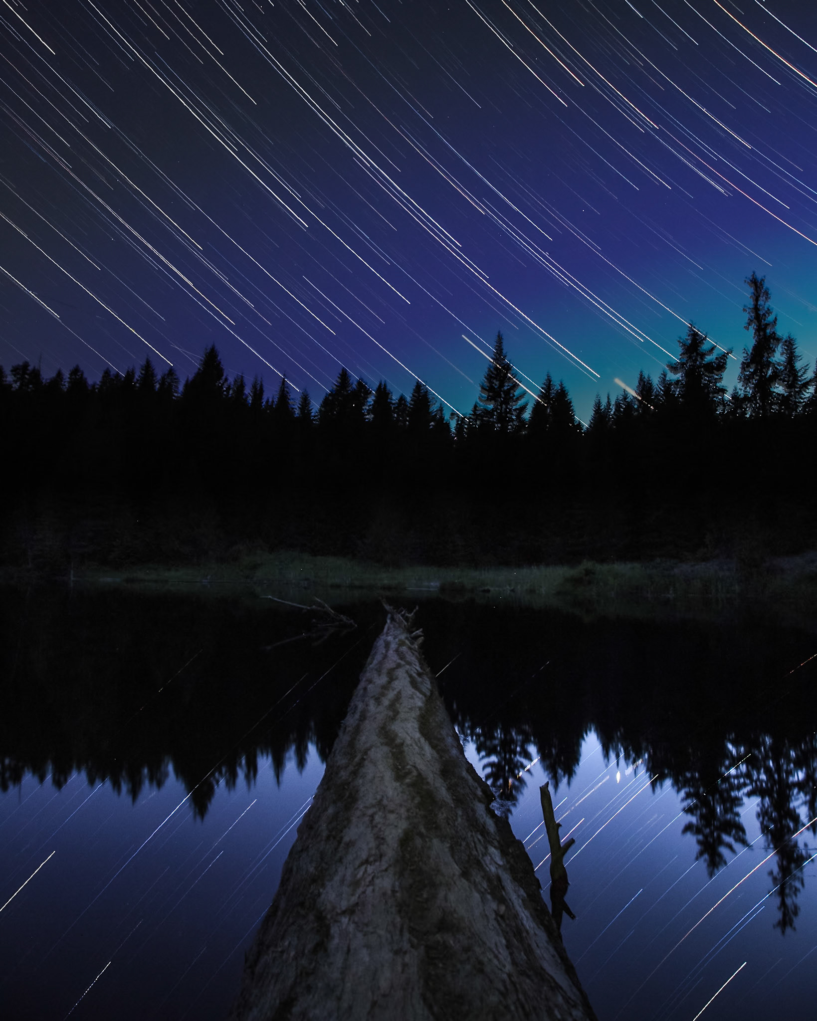 Star trails up at Lost Lake, in Whistler, BC.