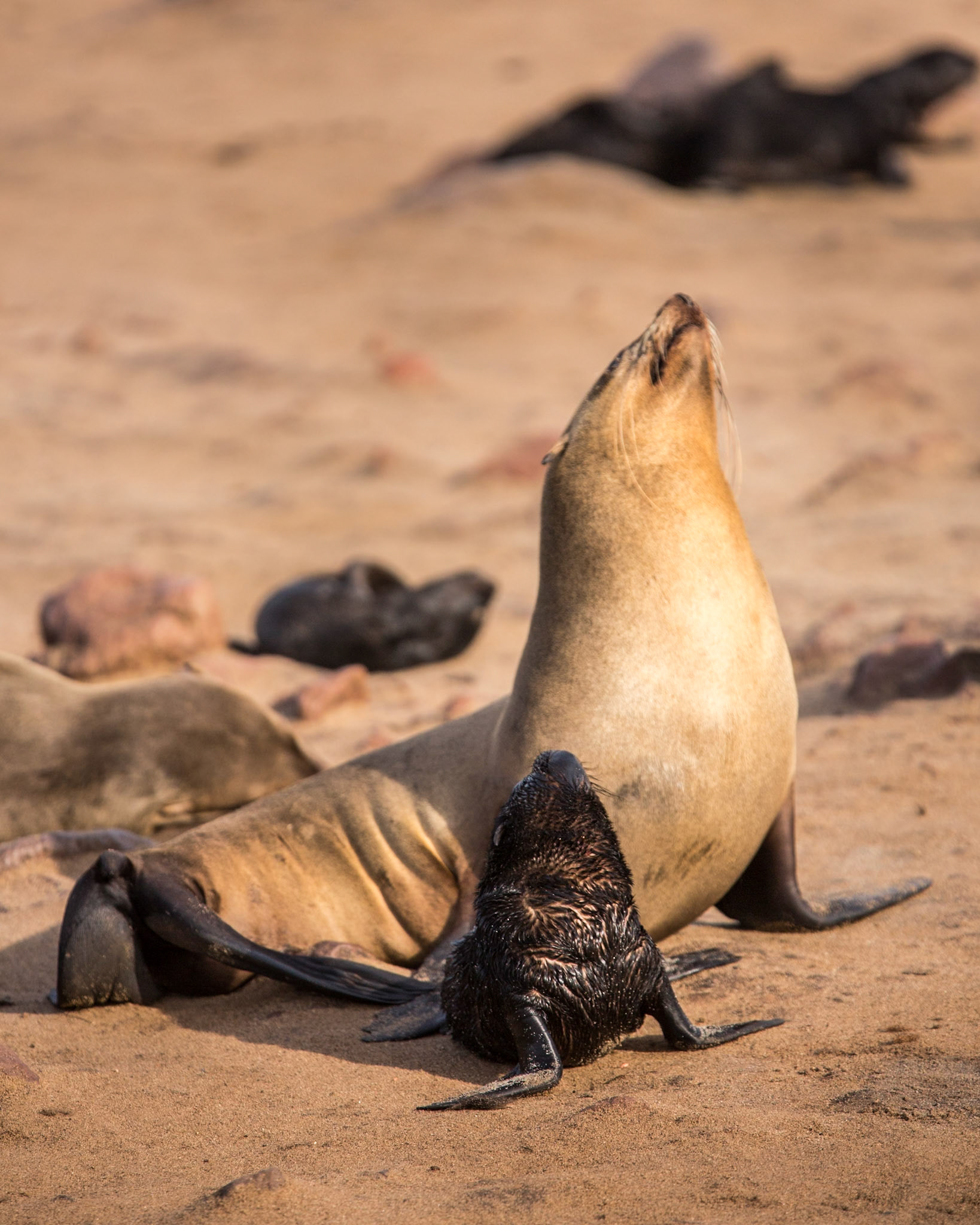 Images from Namibia