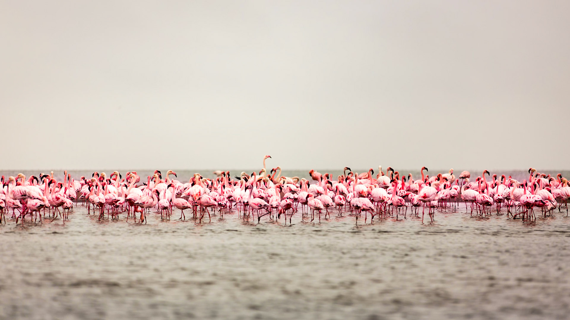 Images from Namibia