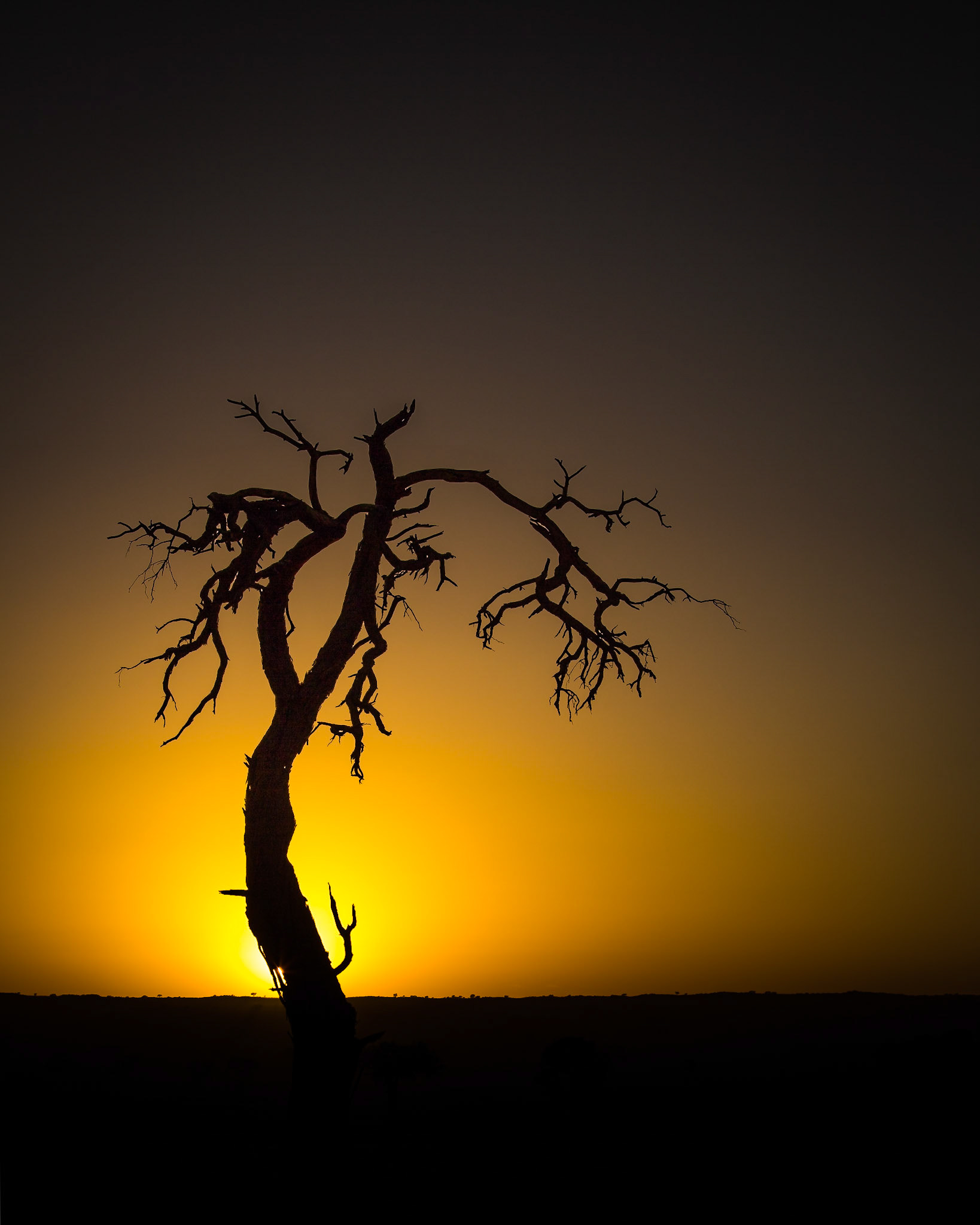 Images from Namibia