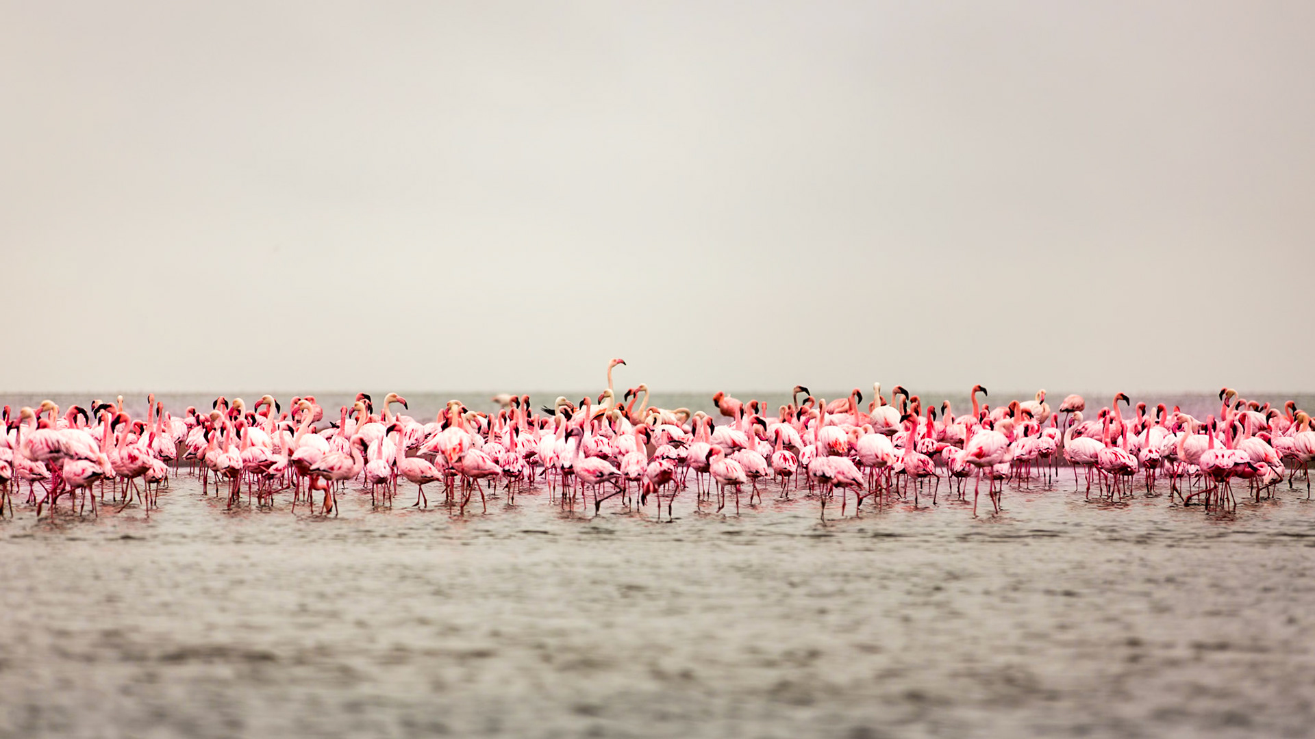 Images from Namibia
