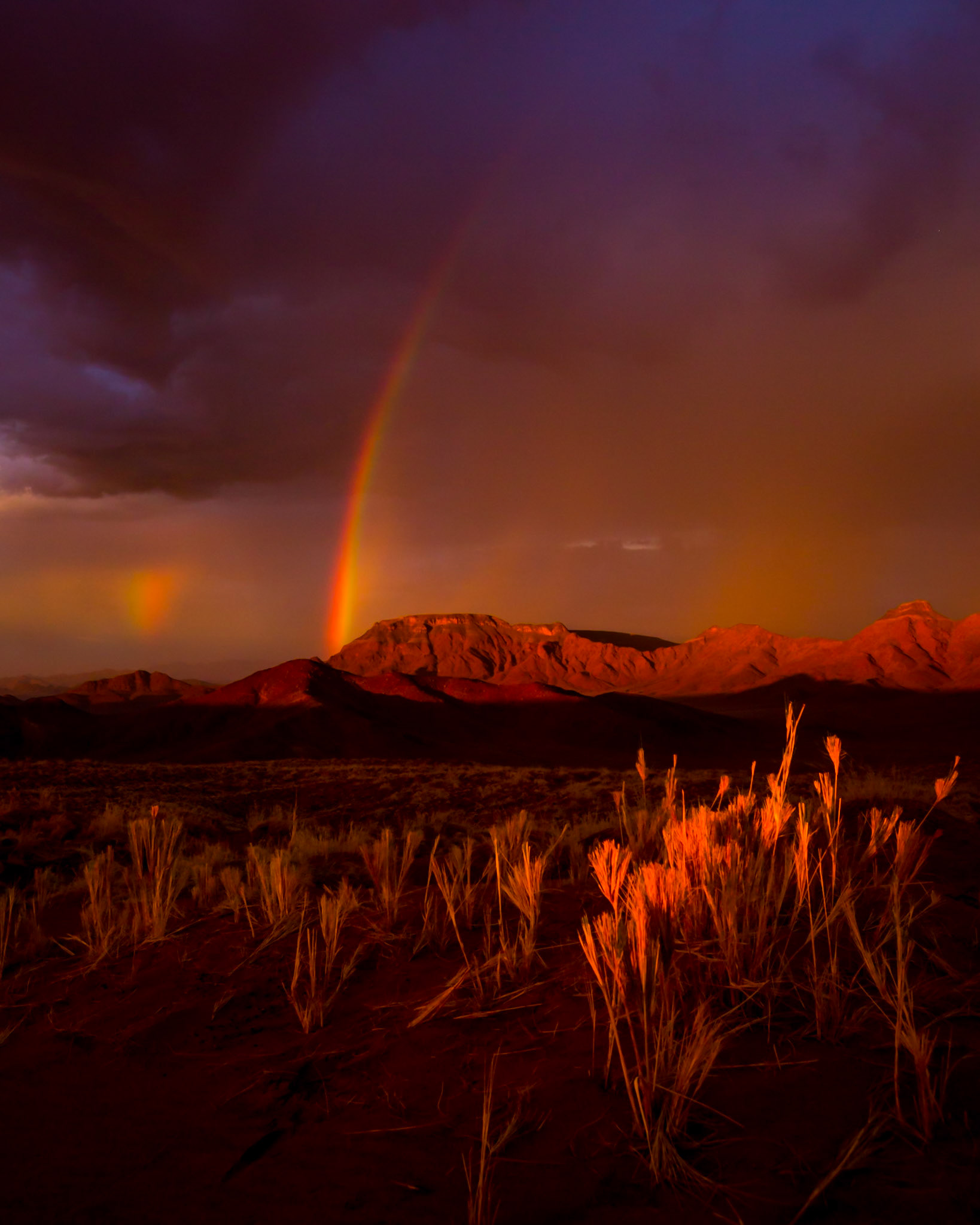Images from Namibia.