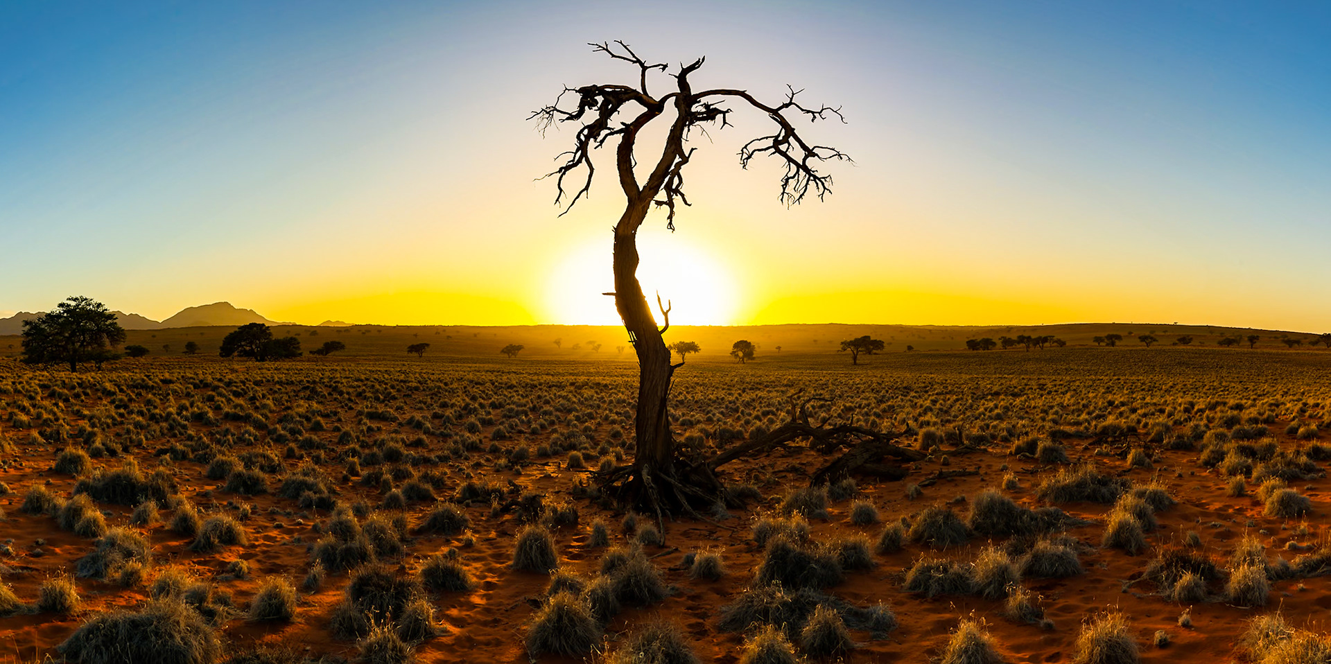 Images from Namibia