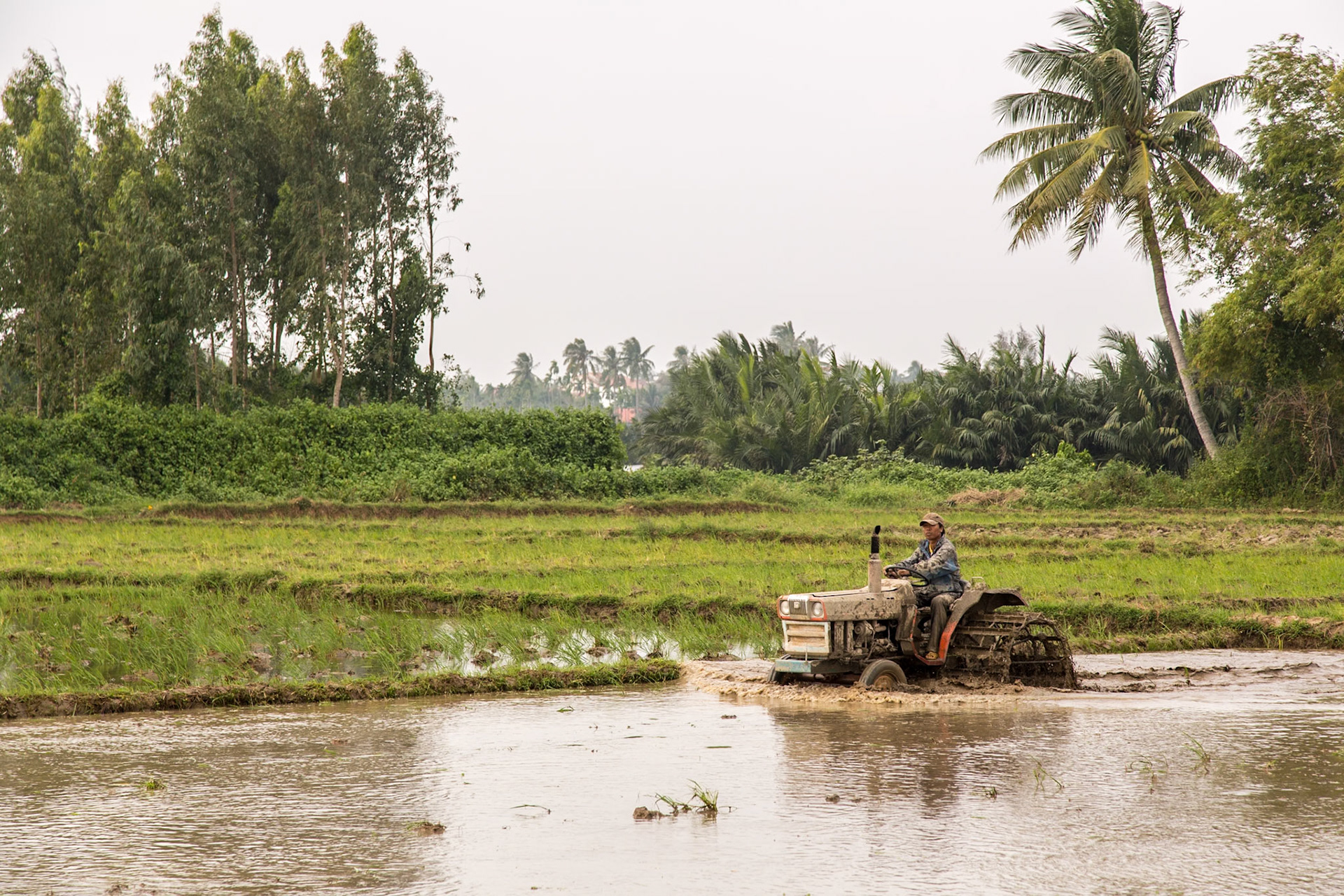 Images from Hoi An, Vietnam.