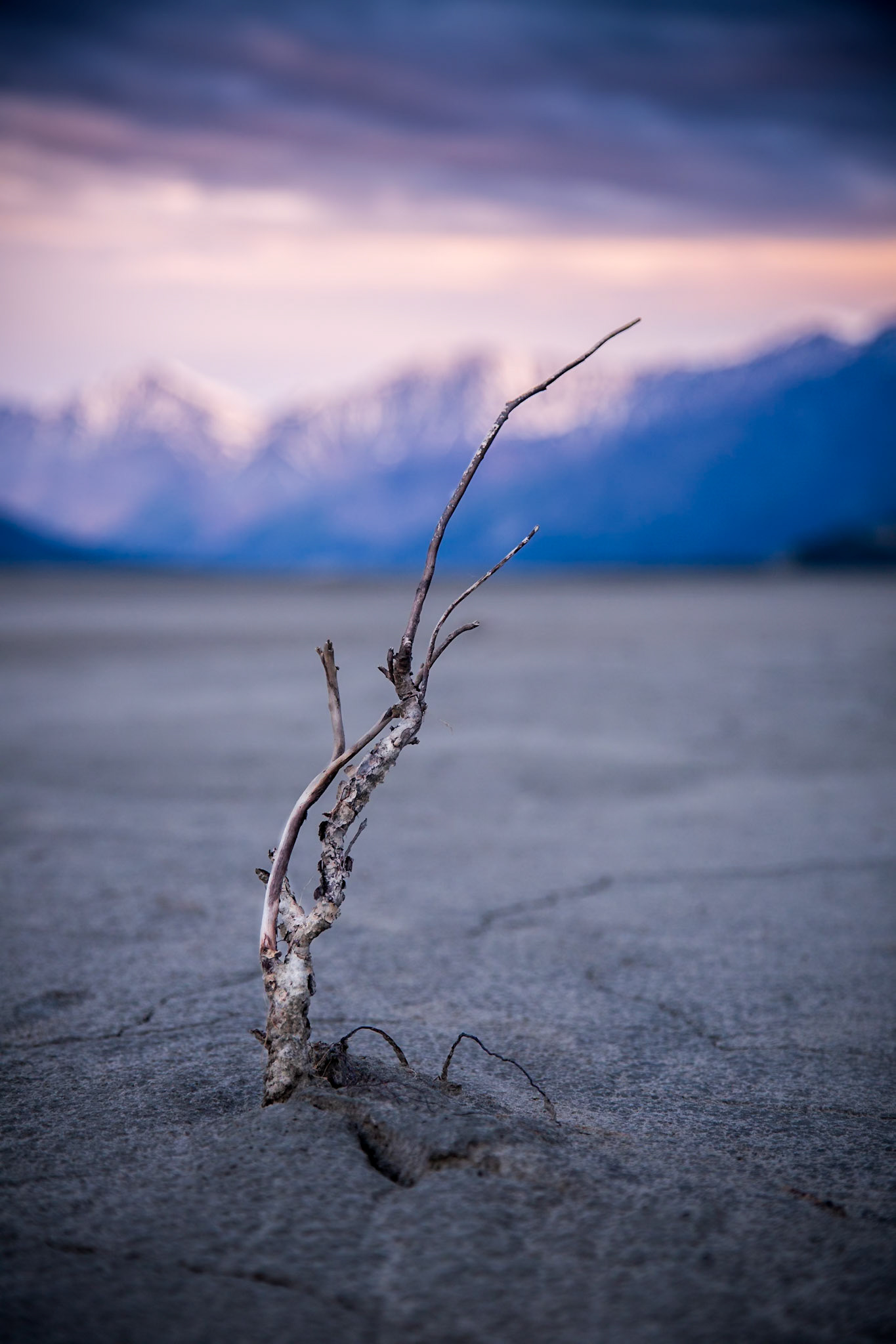 Images from Kluane National Park in the Yukon Territory.