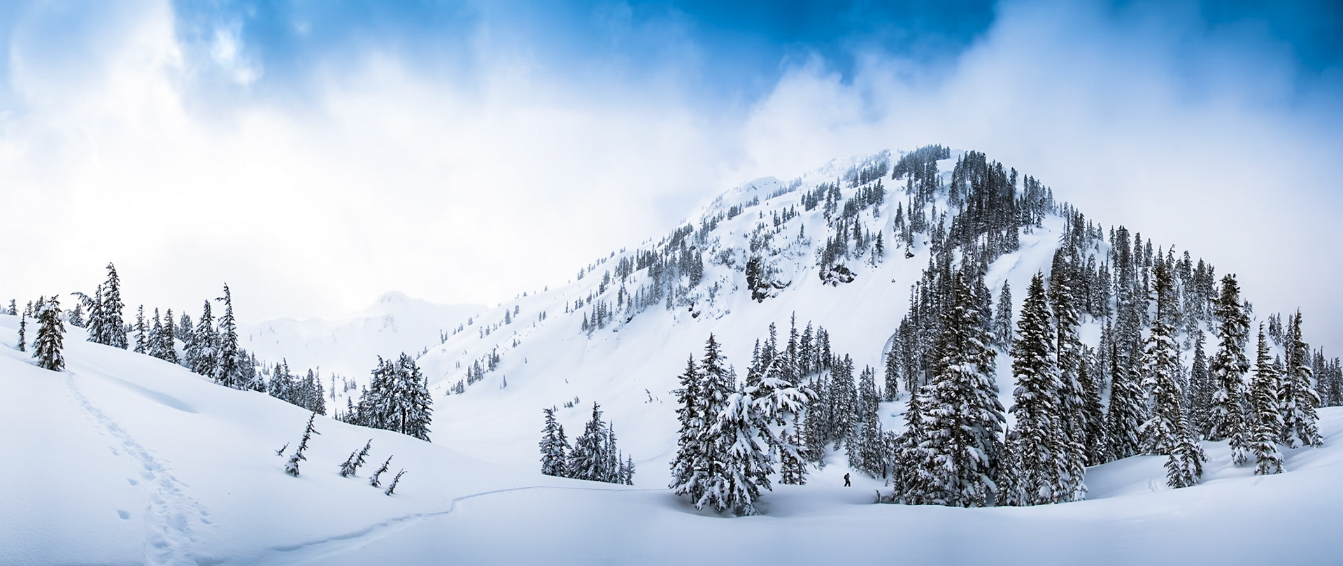 Mount Baker Panoramic