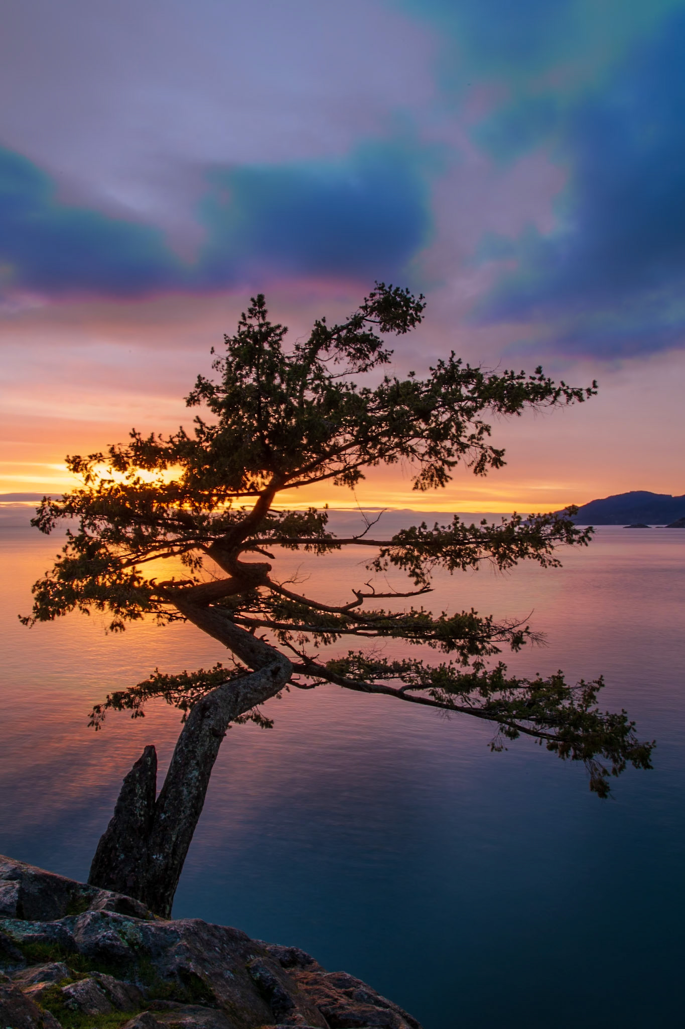 Images from Vancouver