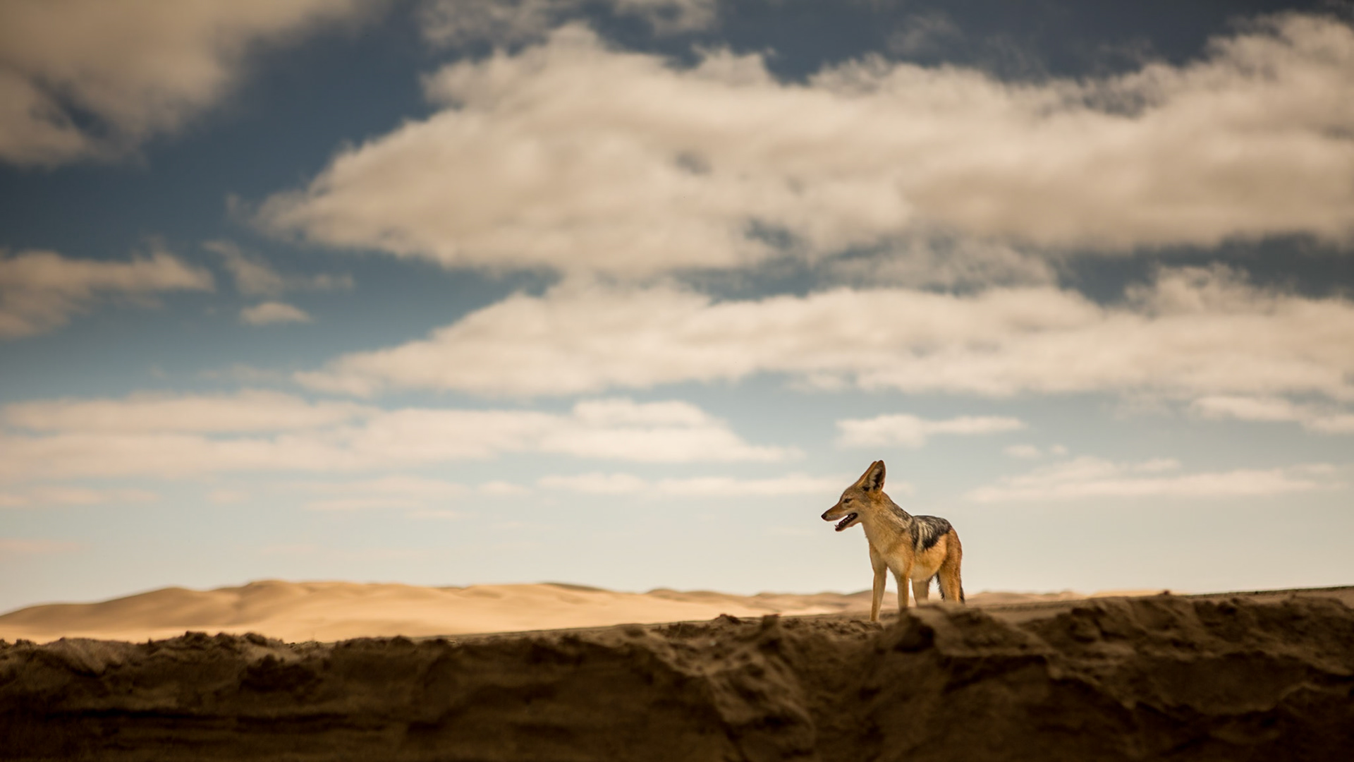 Images from Namibia.