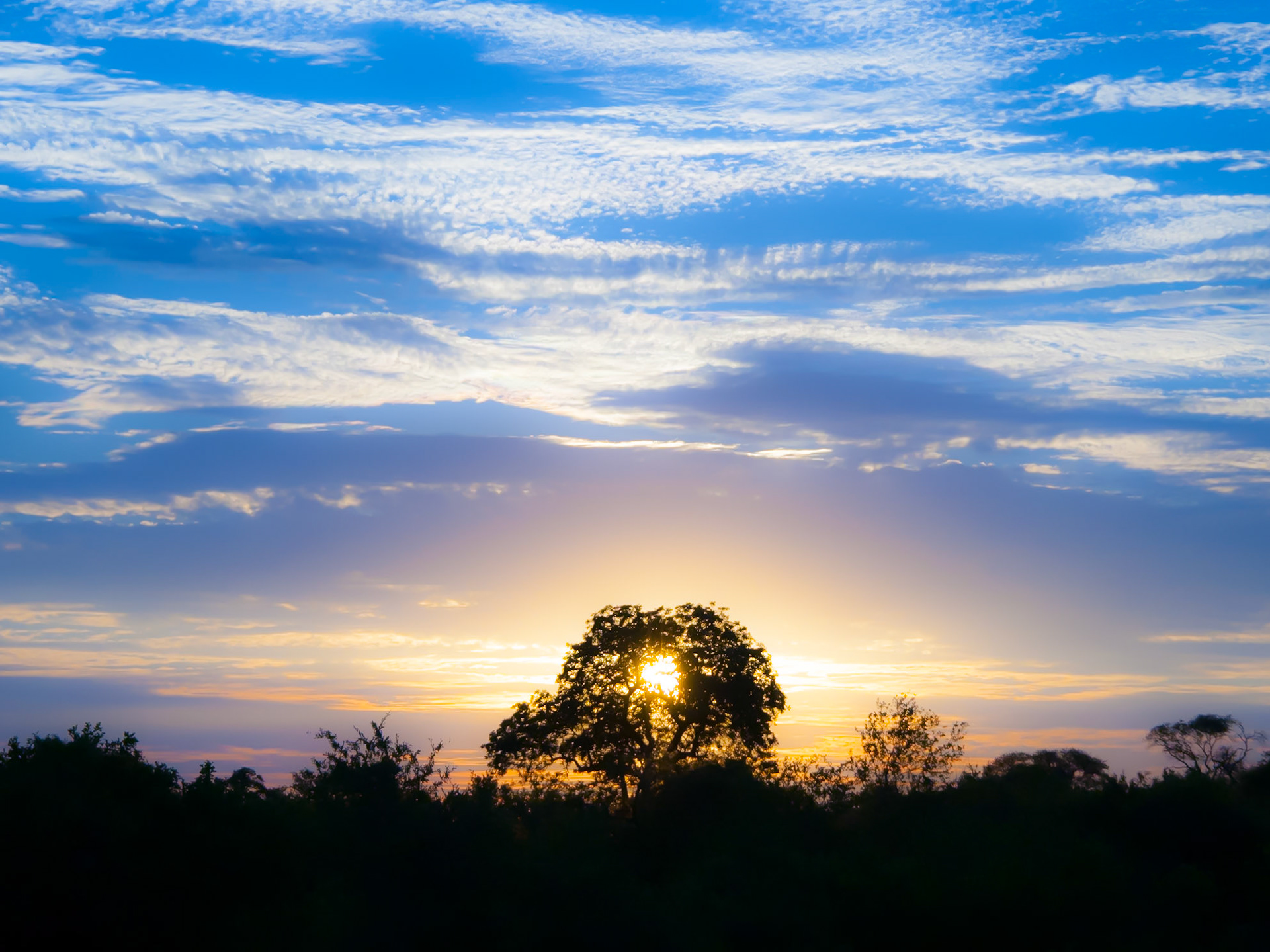 Sunset in South Africa.