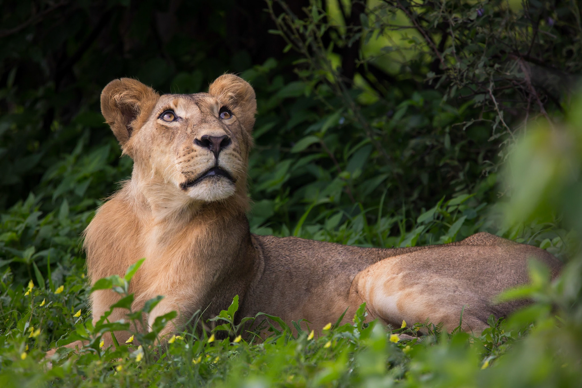 Images from Chobe National Park, in Botswana.