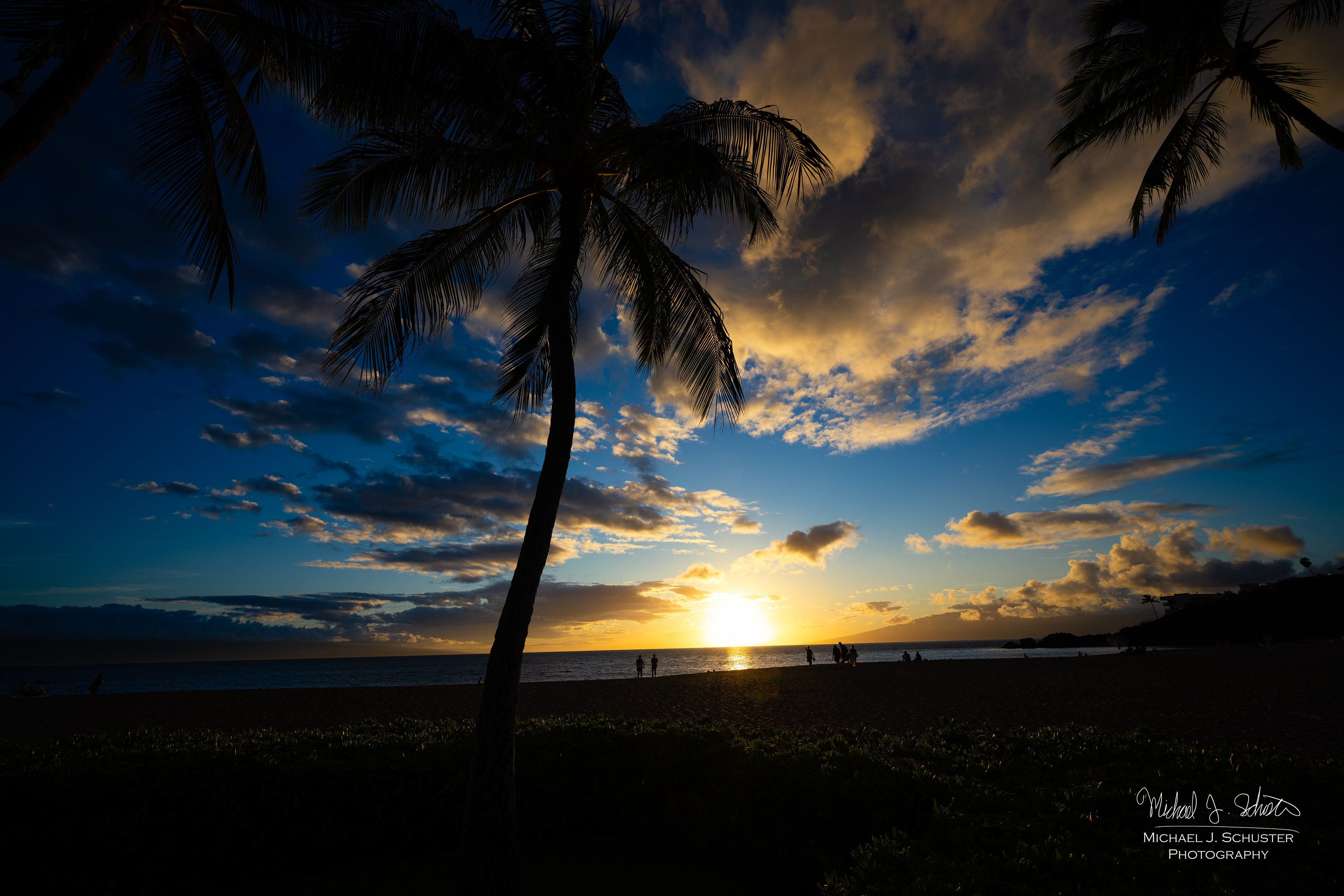Maui 2022