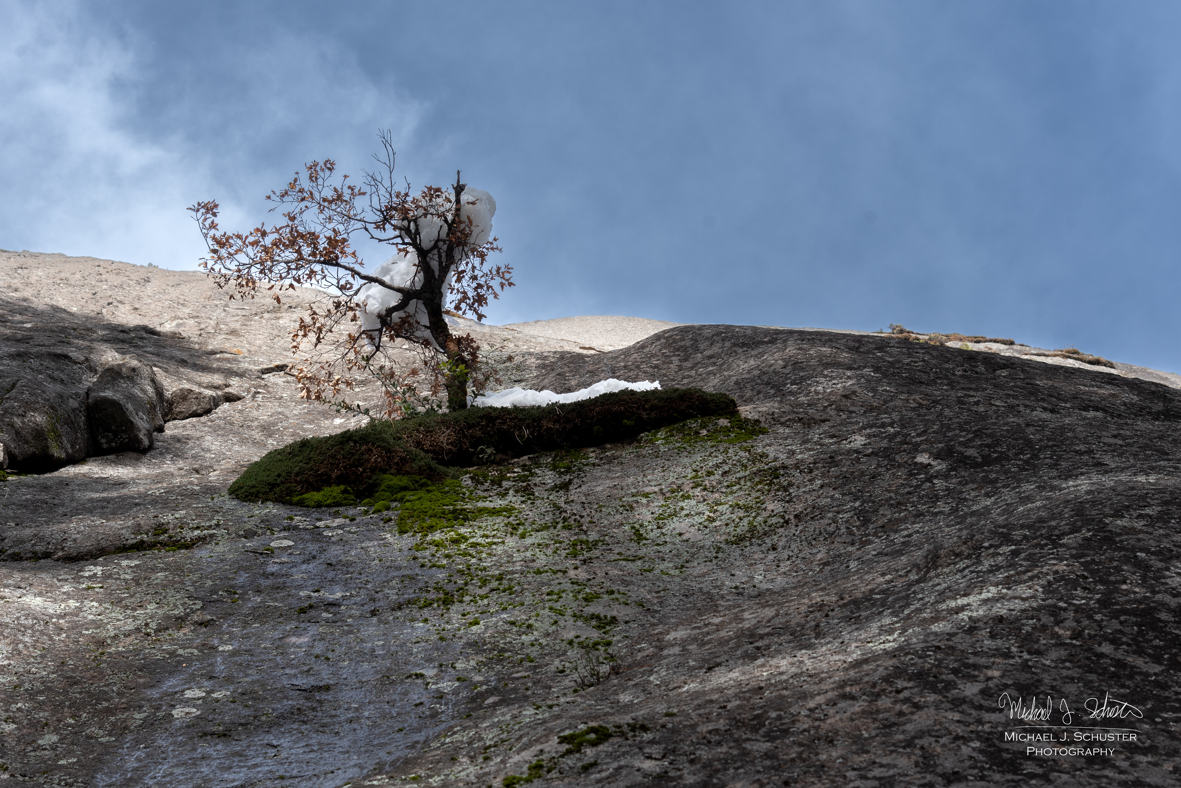Yosemite 2022
