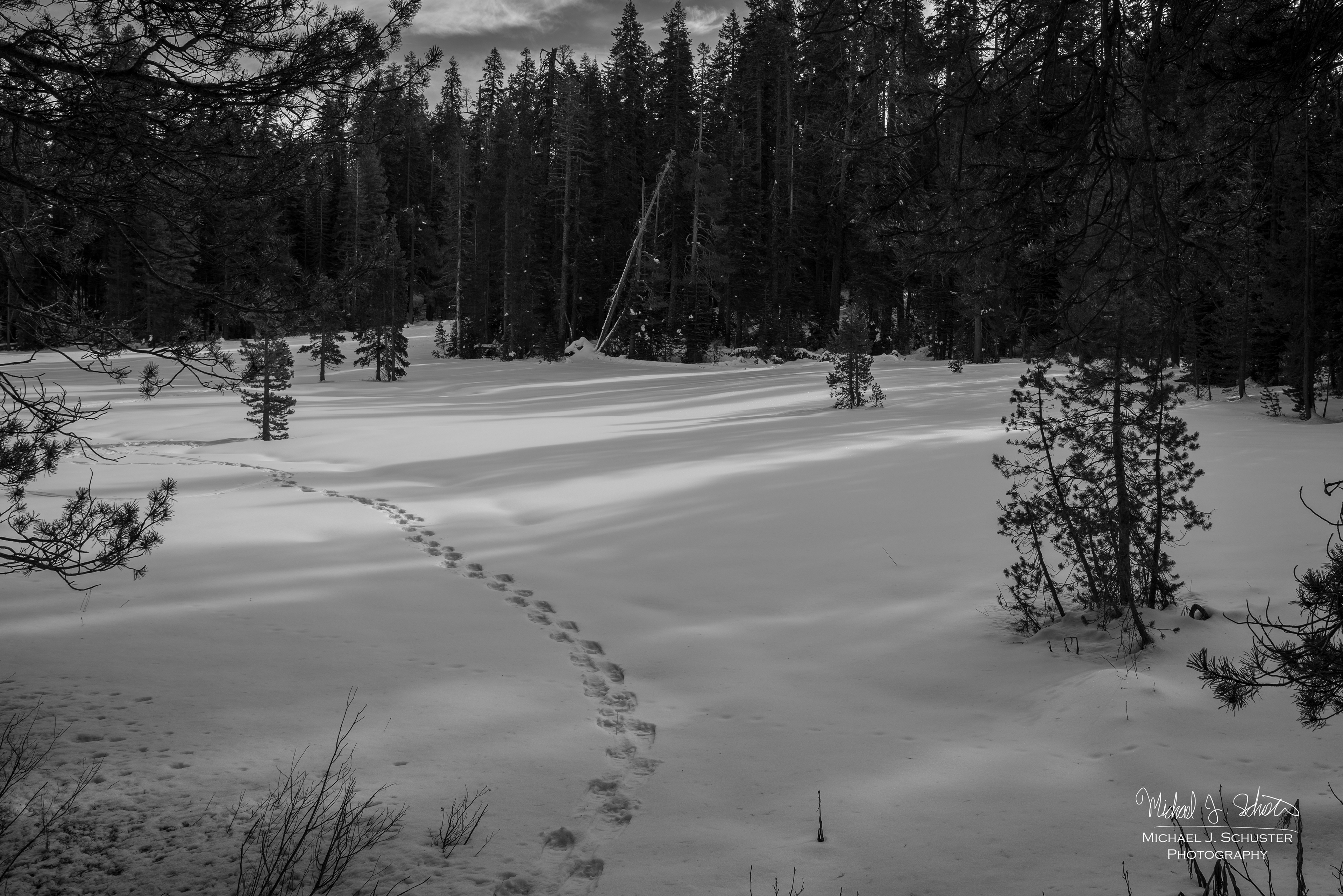 Yosemite, 2018