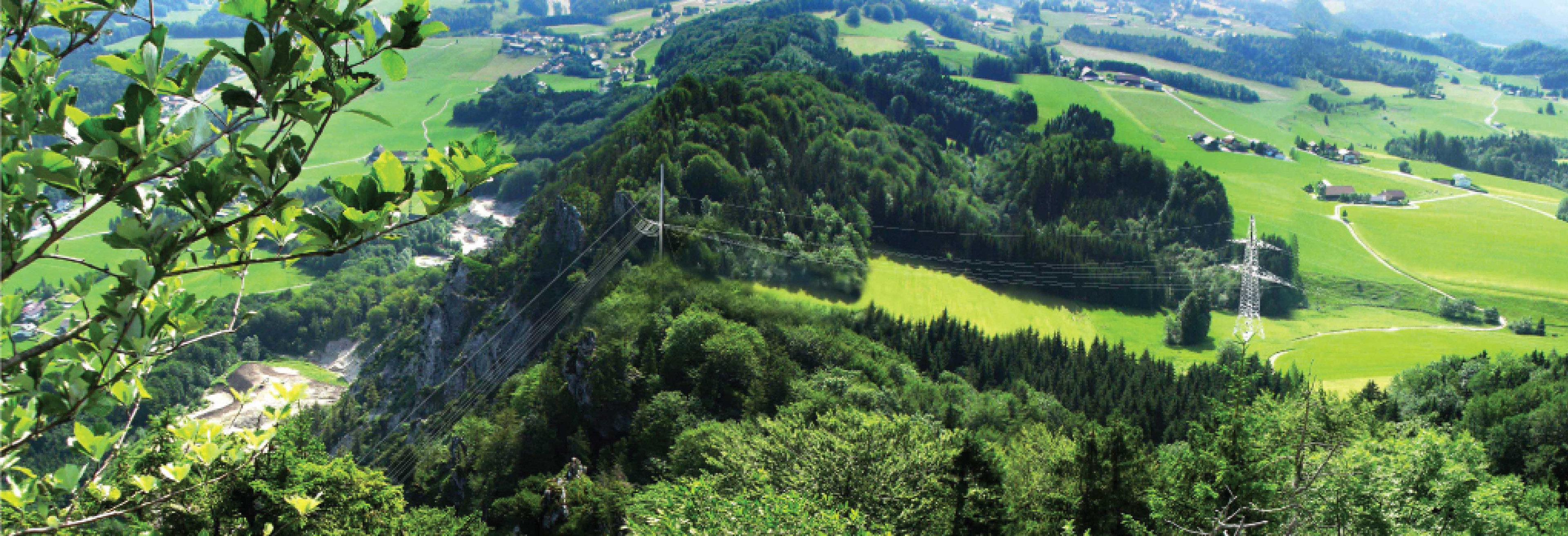 Gewonnener Wettbewerb für einen Entwurf von Architekt Spraiter für Strommasten in Salzburg, Salzburg Umgebung.